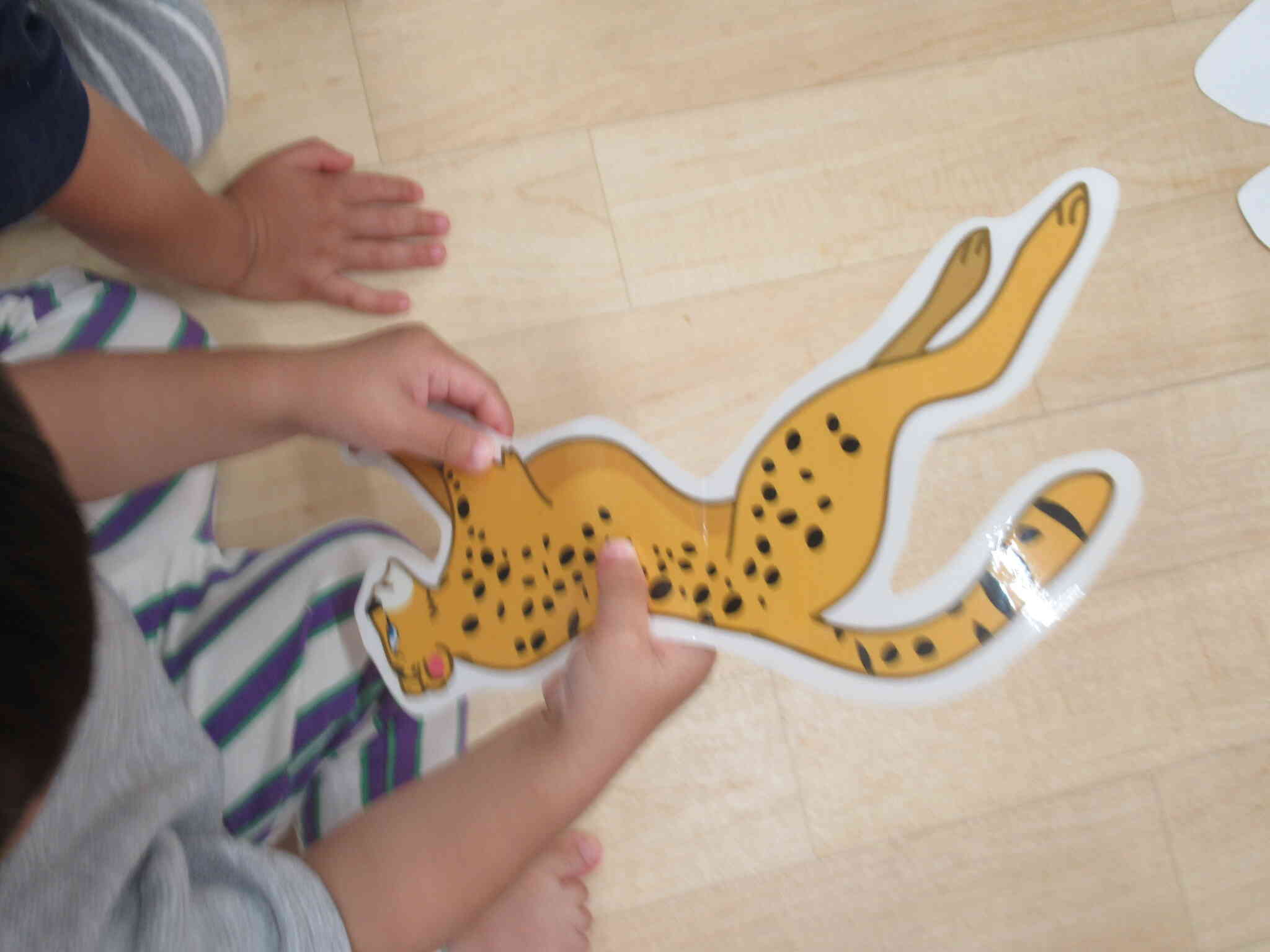あっ、チーター？！
