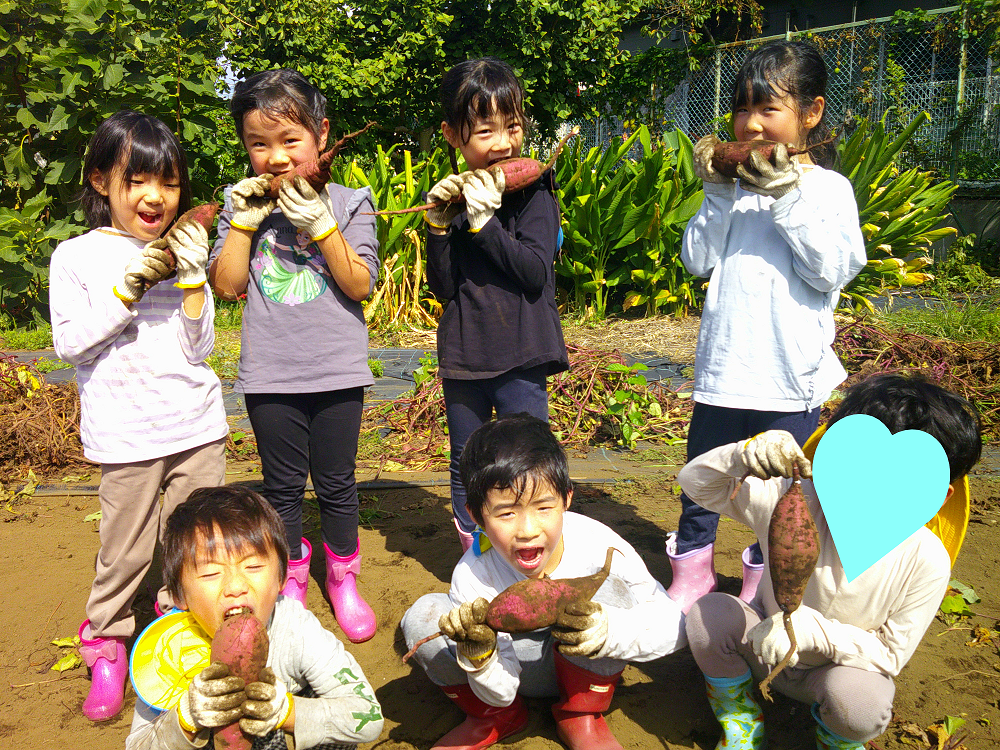 「芋ほり楽しかったね」「美味しそう！」「早く食べたいな～」
