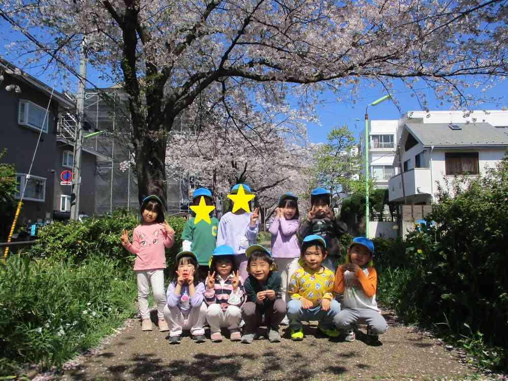 桜の中のお散歩♪【5歳児　きりん組】