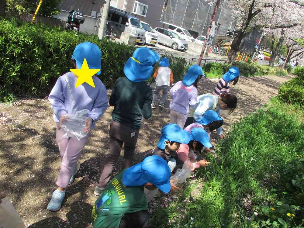 自然物を集めよう☆
