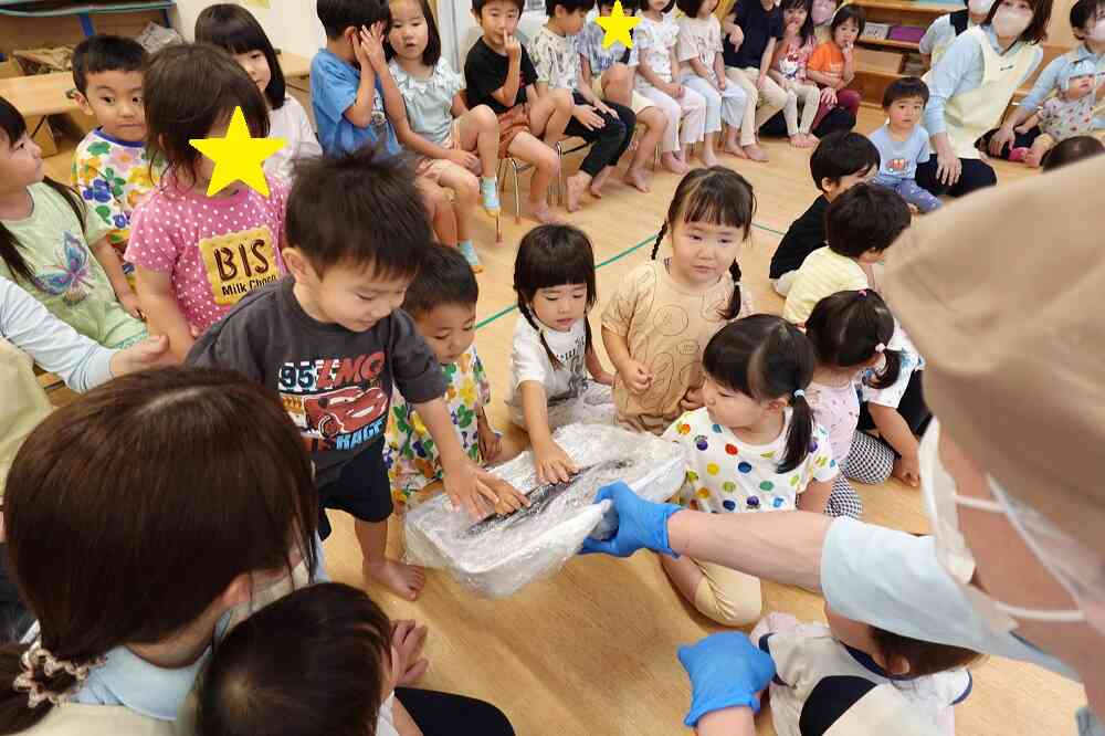 実際に触ってみよう！