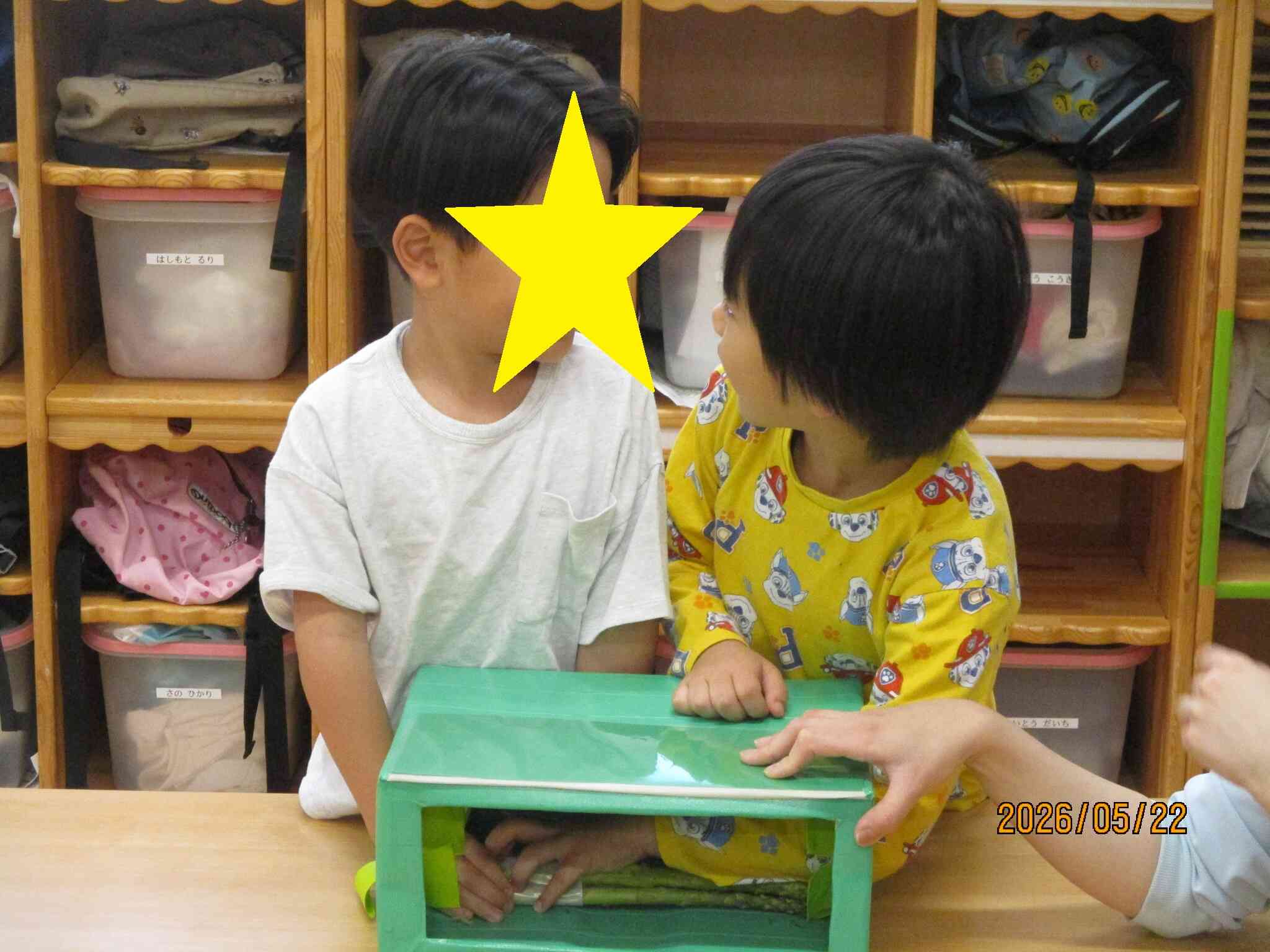 はてなボックス(3~5歳児)