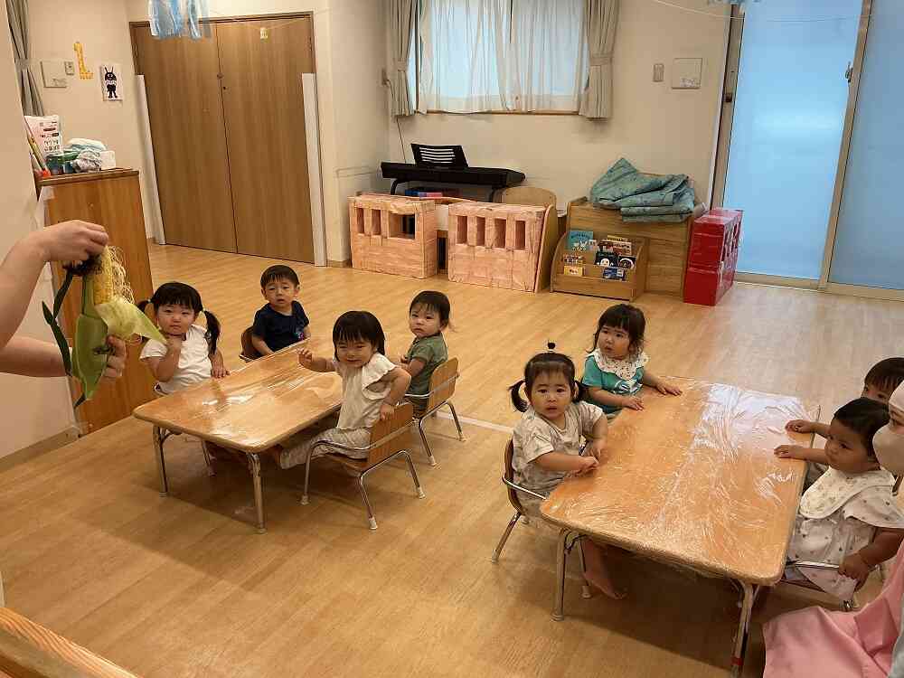 食育「とうもろこしの皮むき」(1,2歳児)