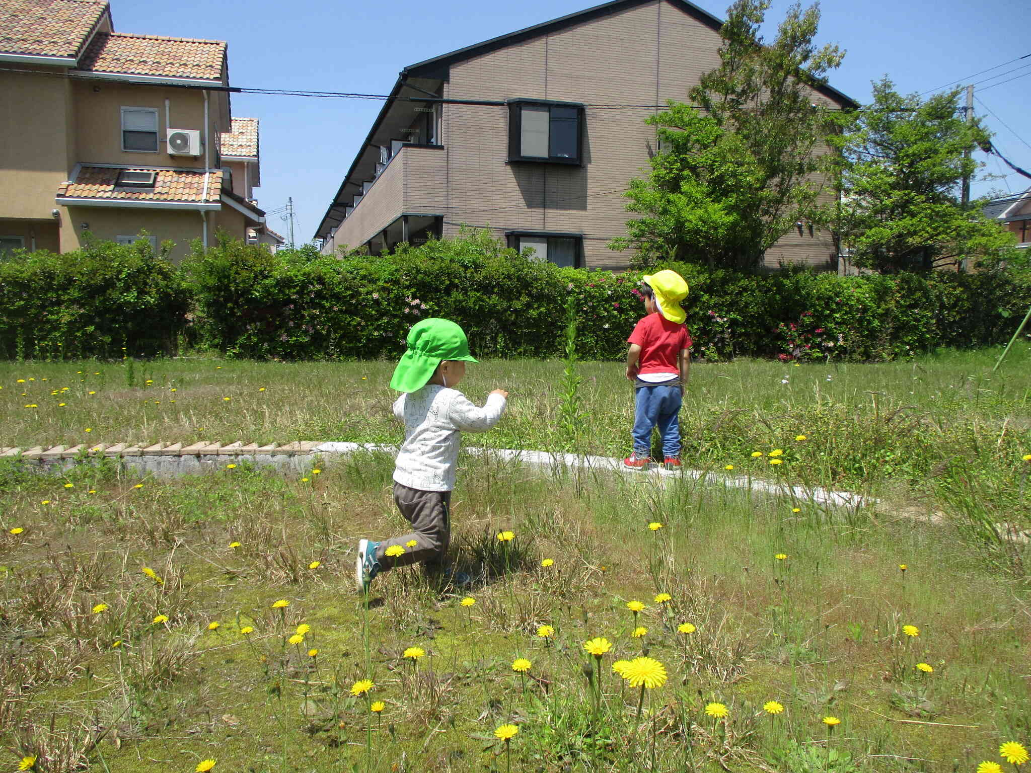 いっぱい遊ぶぞ！