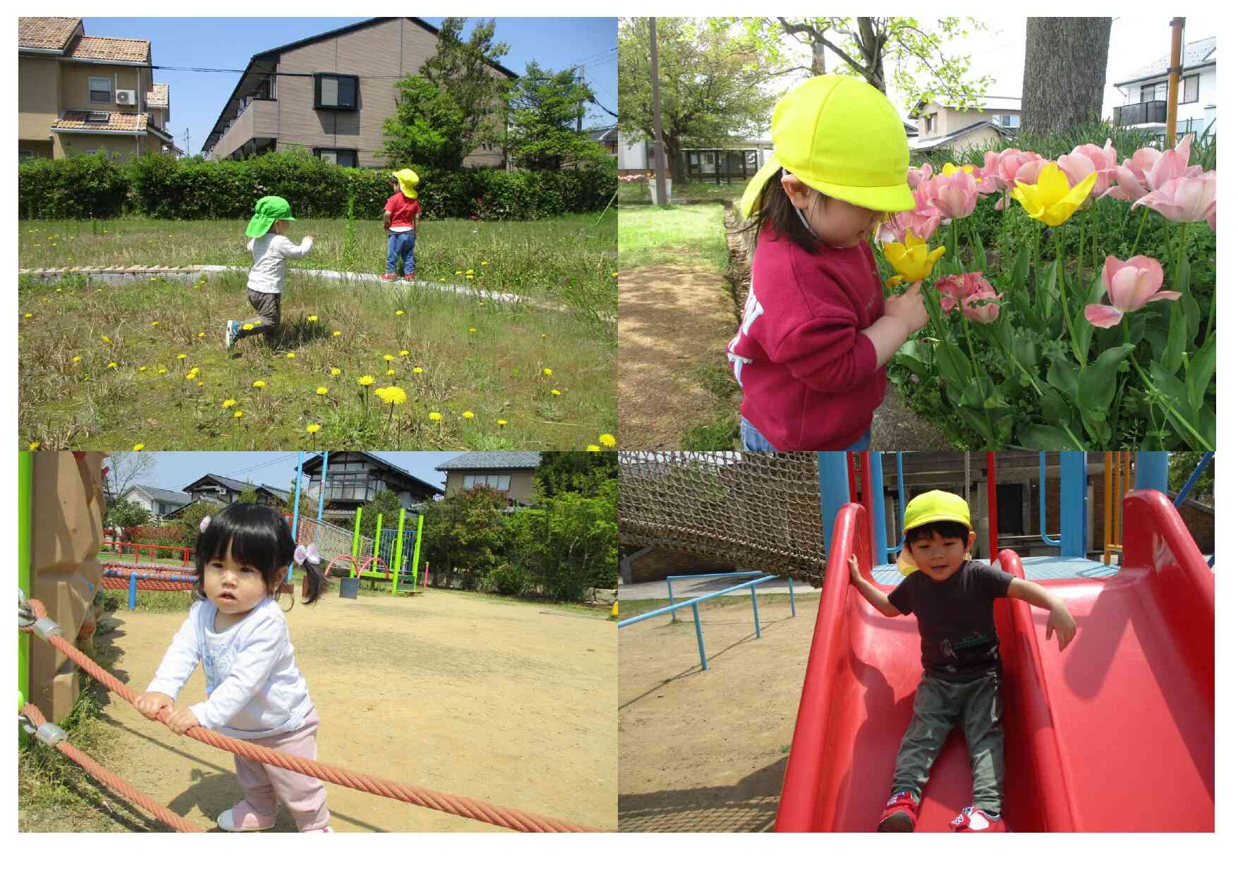 ☆午前の活動☆