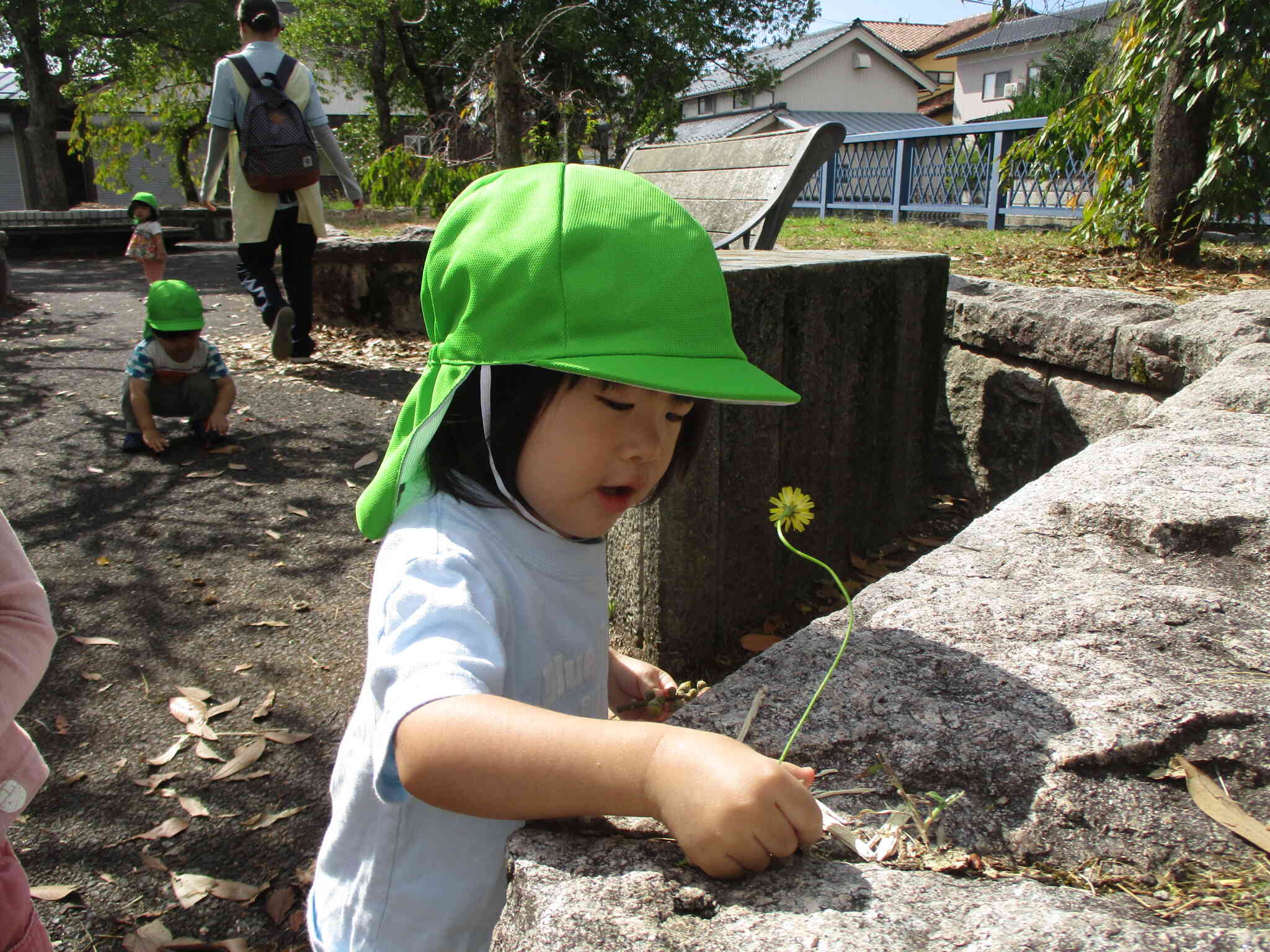 お花もかわいいね