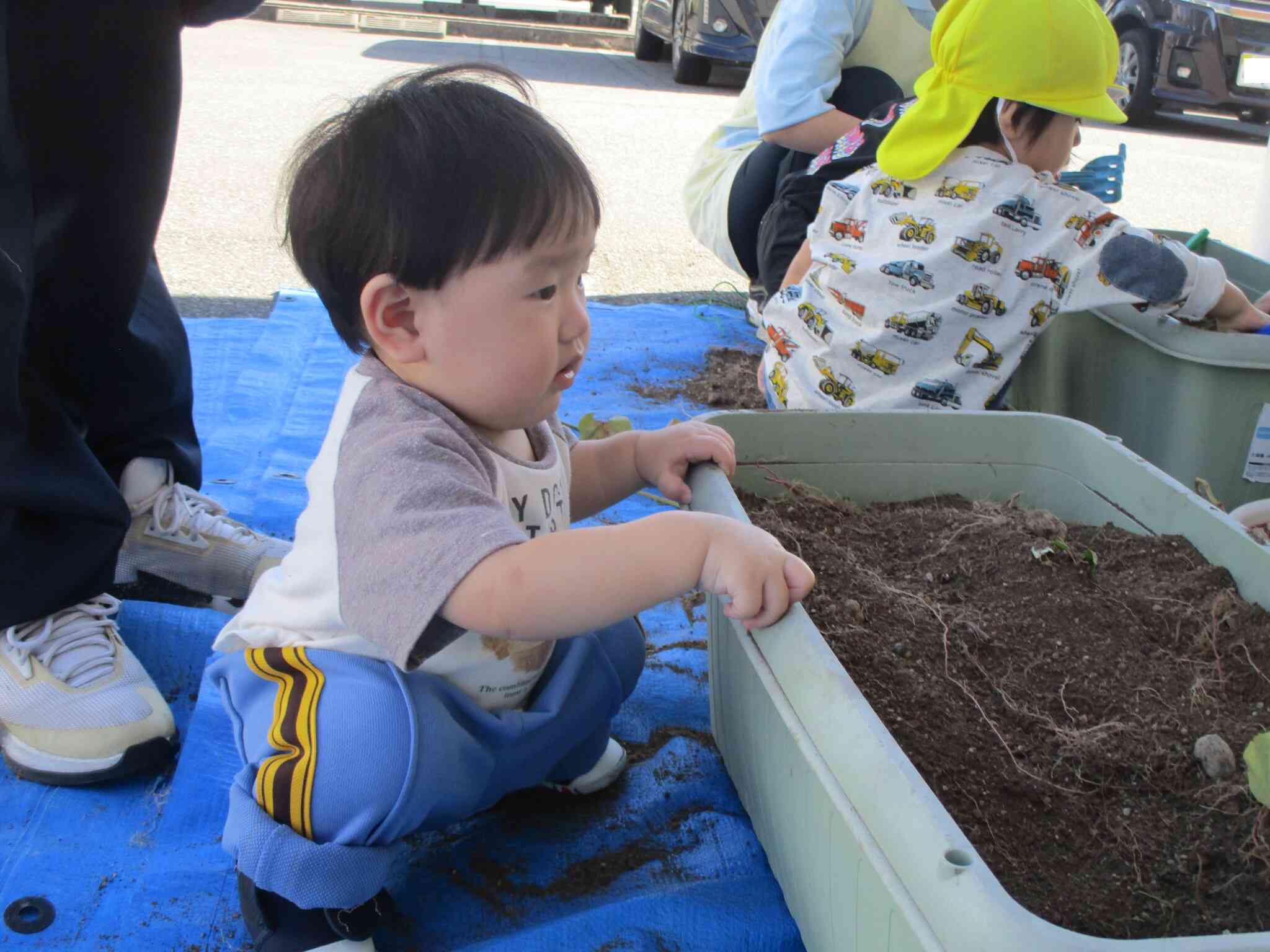 おイモあるかなぁ