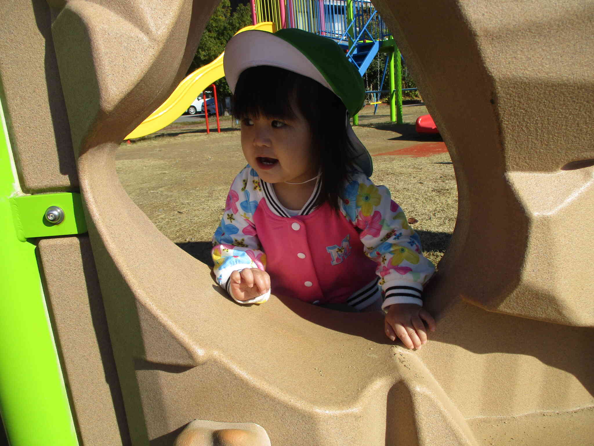 いない、いない、ばあー!