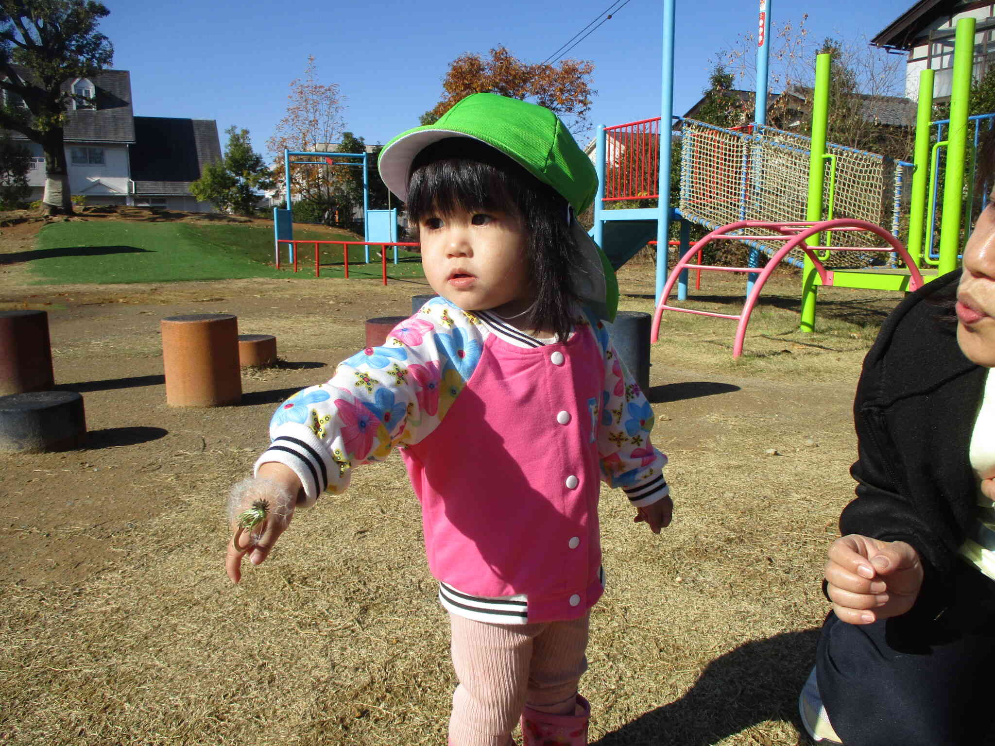 ふー、、、とんでいったねー