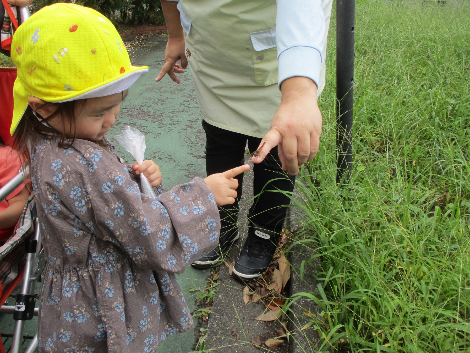 トンボさんが来てくれたよ