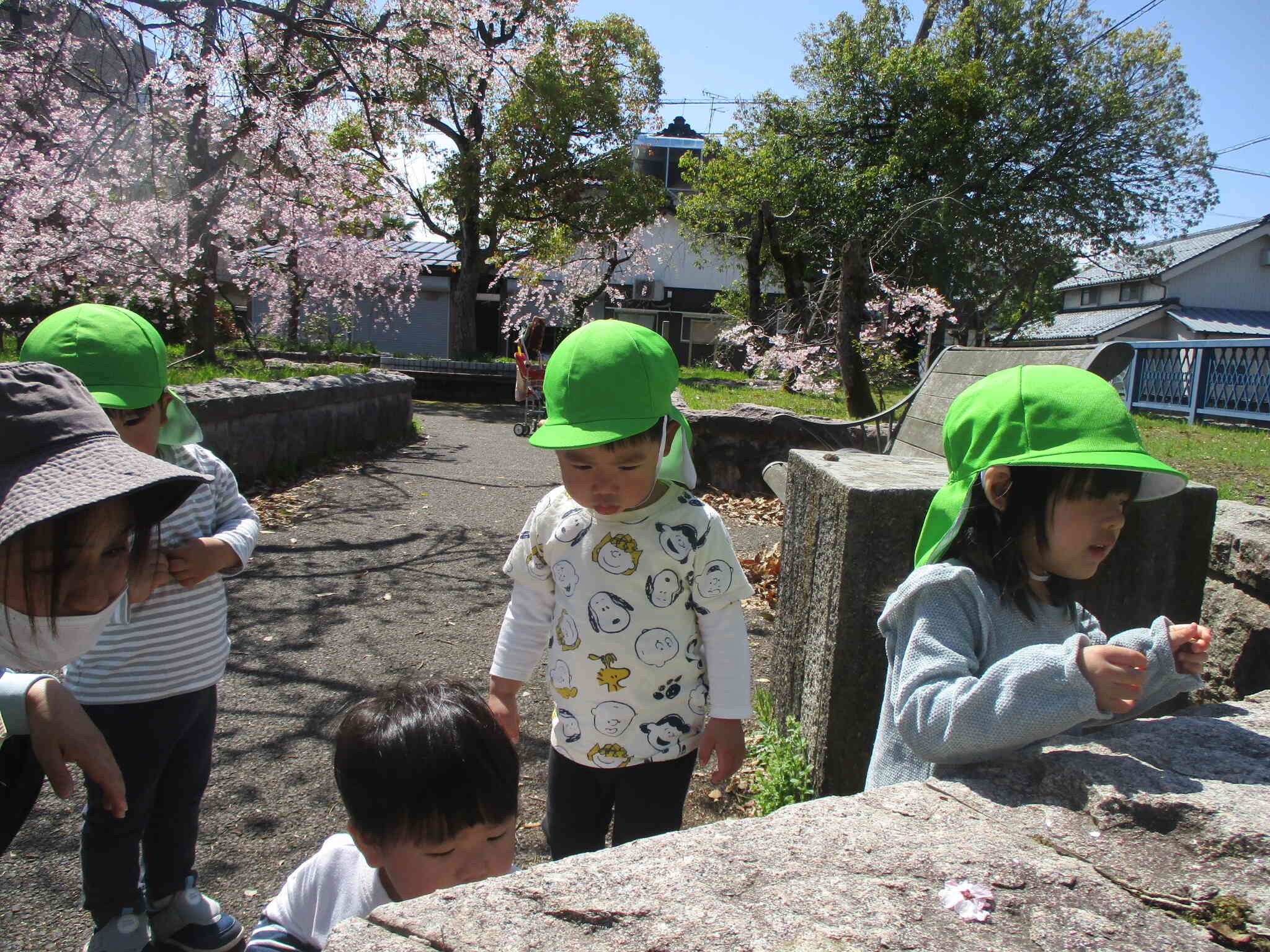 虫さんみーつけた！