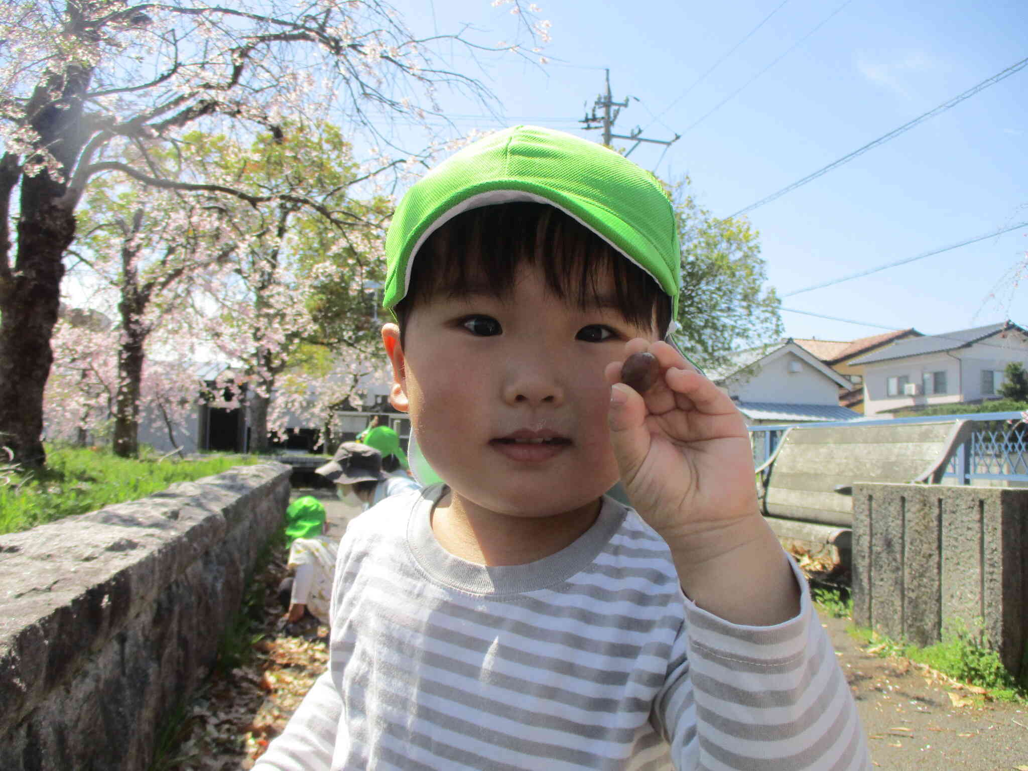 どんぐりも拾ったよ⭐︎