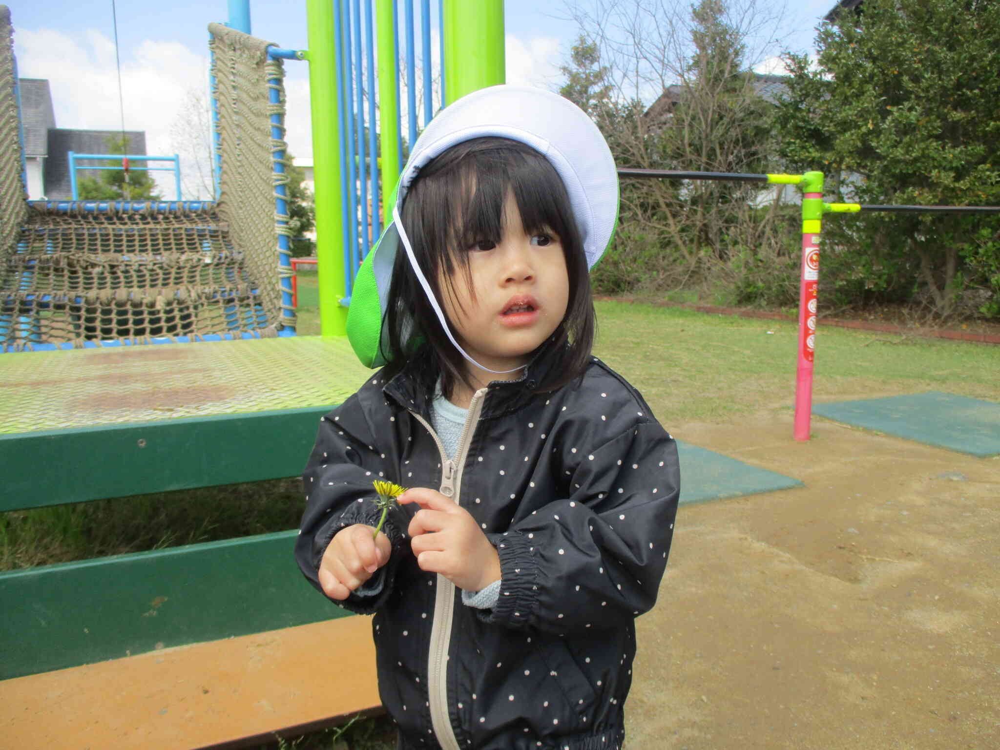 公園にお散歩にいきました（土曜保育）