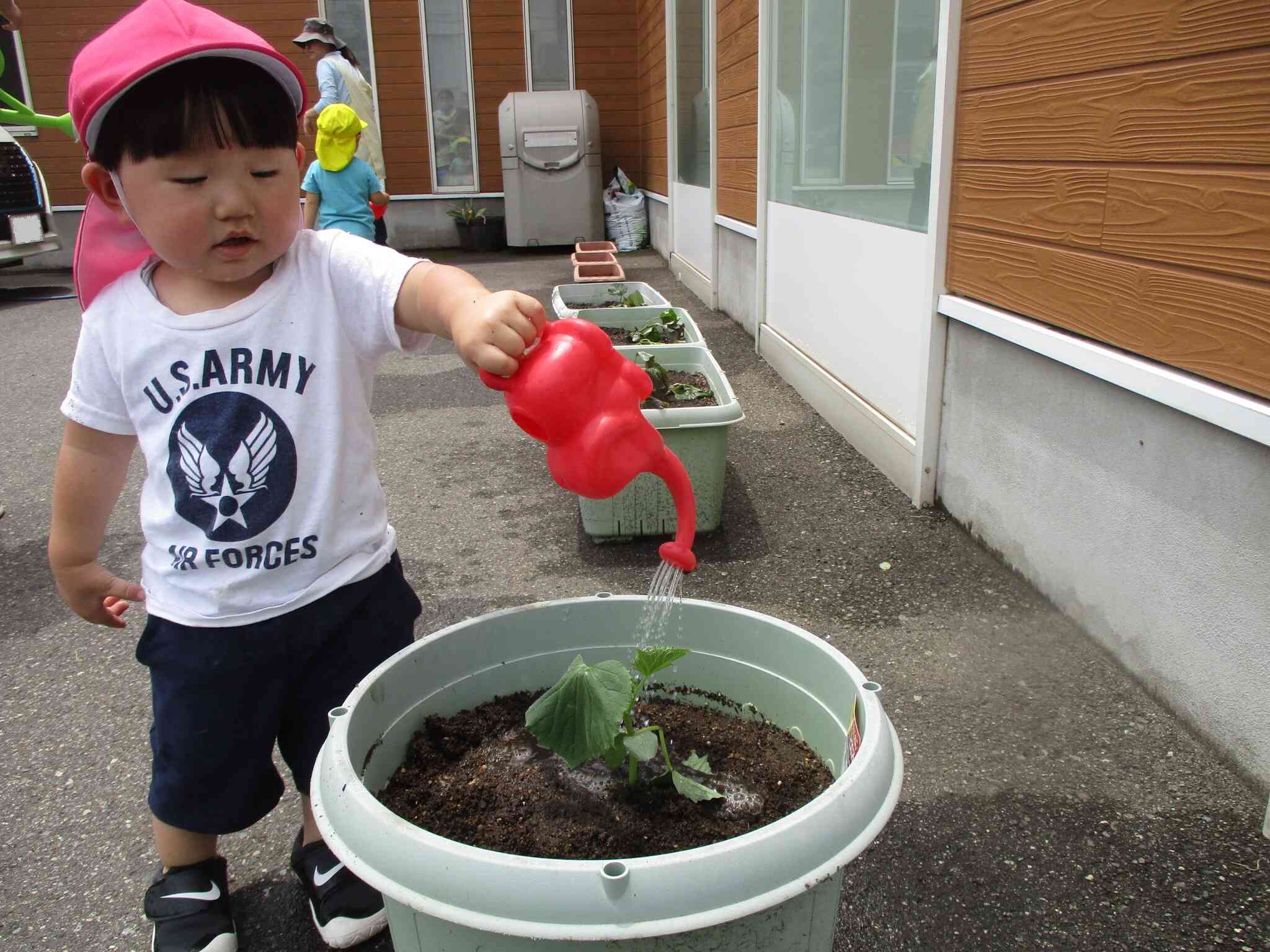 野菜の苗植えをしたよ