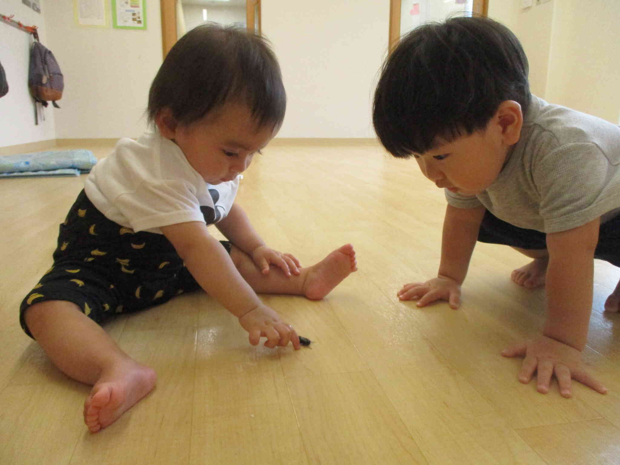 カブトムシの赤ちゃんを見たよ。
