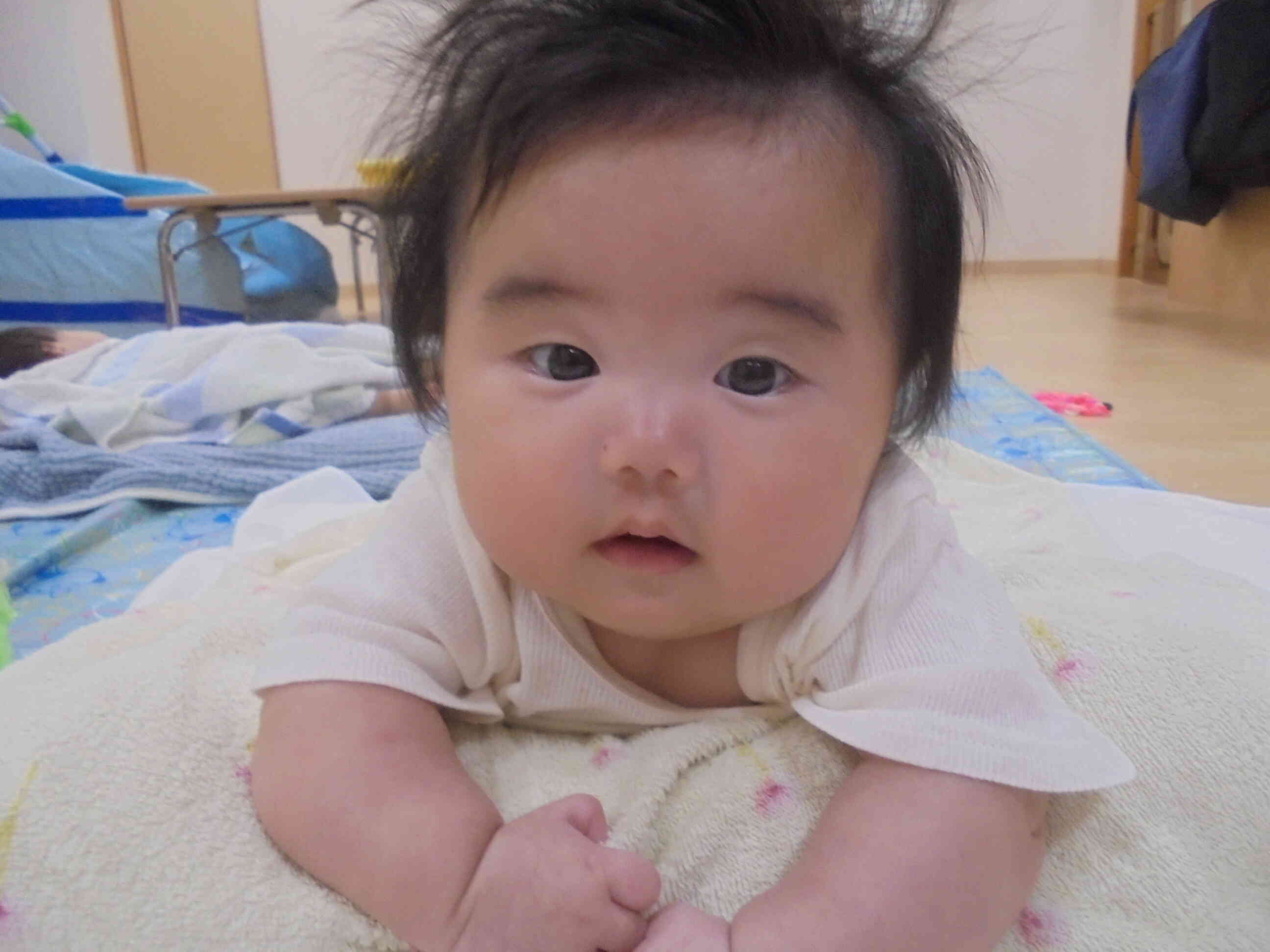 ふふふ、お兄ちゃんとそっくりなの先生たちは知ってるよ。
