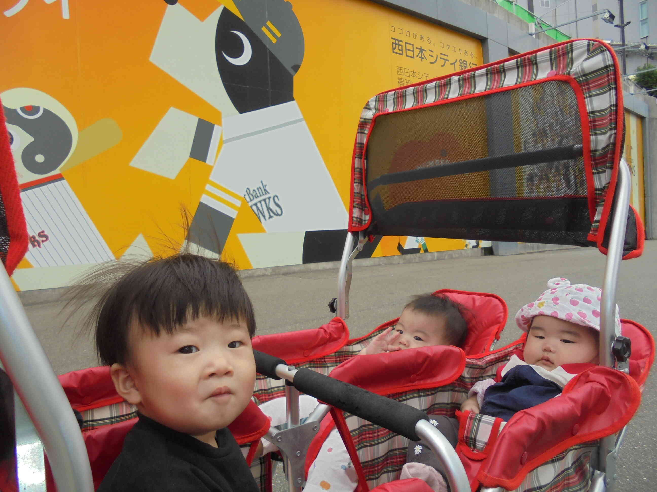 ひよこ組さんのお散歩