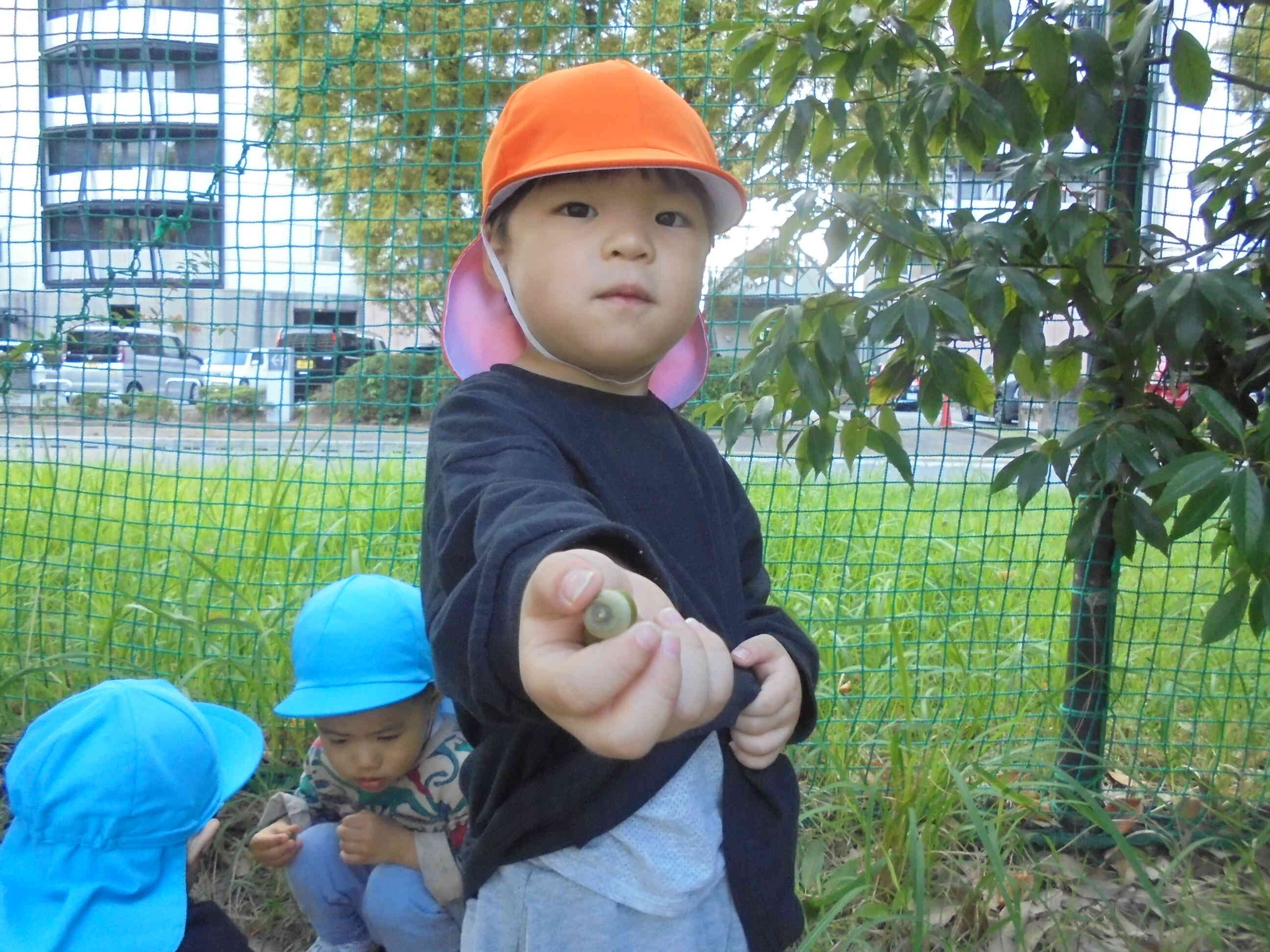 どんぐりいっぱい採れたよ