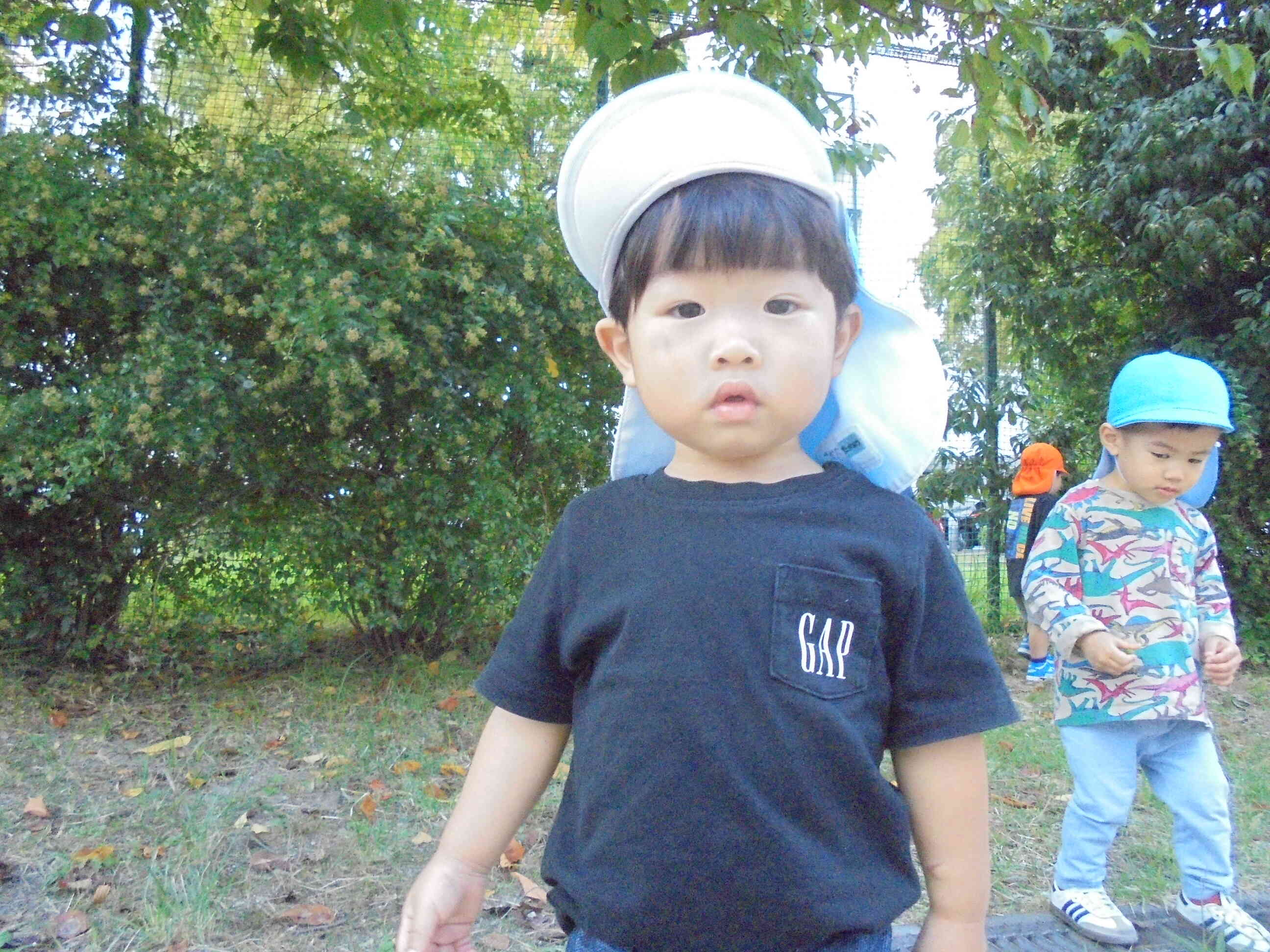 どんぐりさんいっぱいだったね