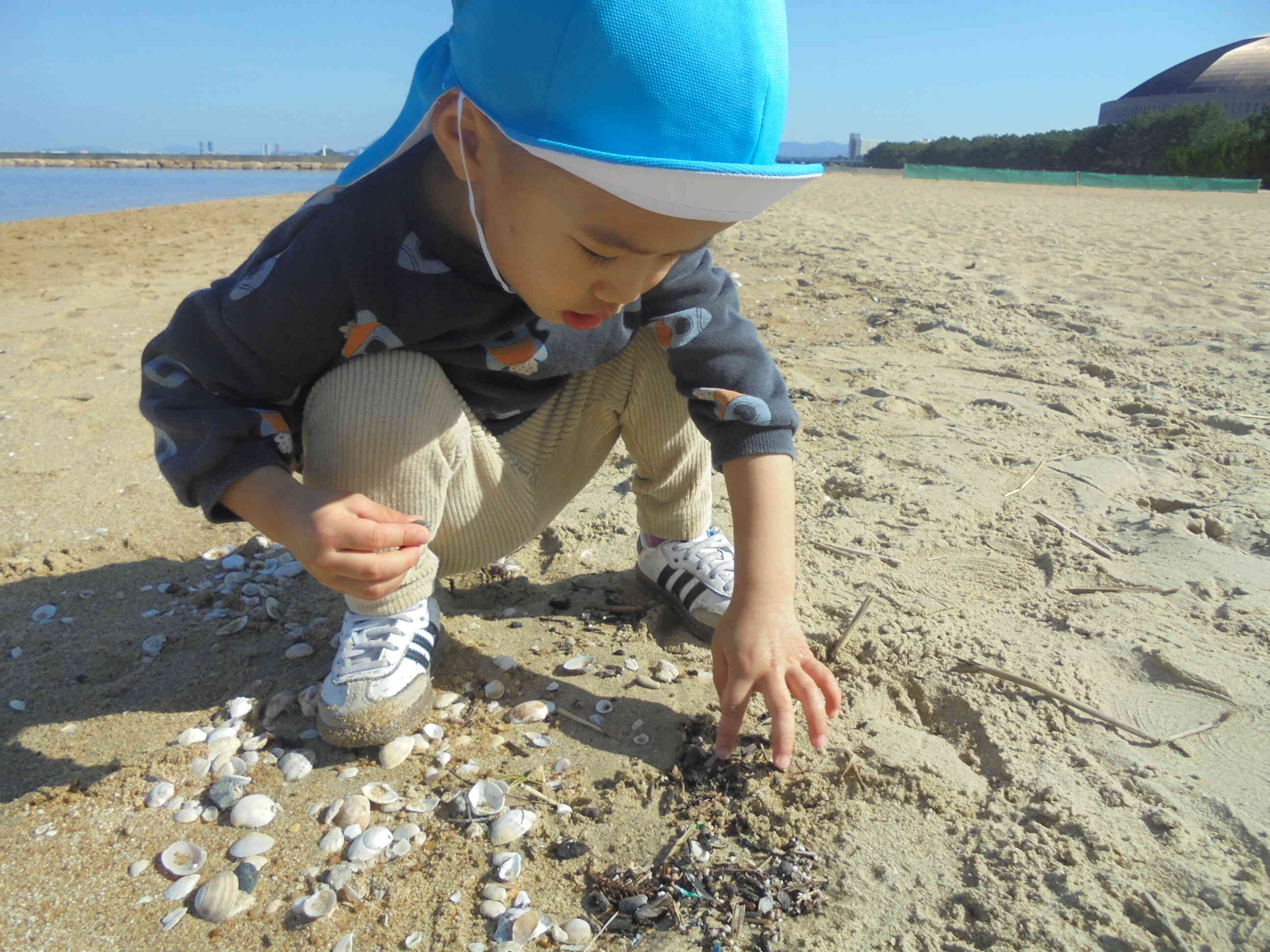 海には宝物がいっぱい！