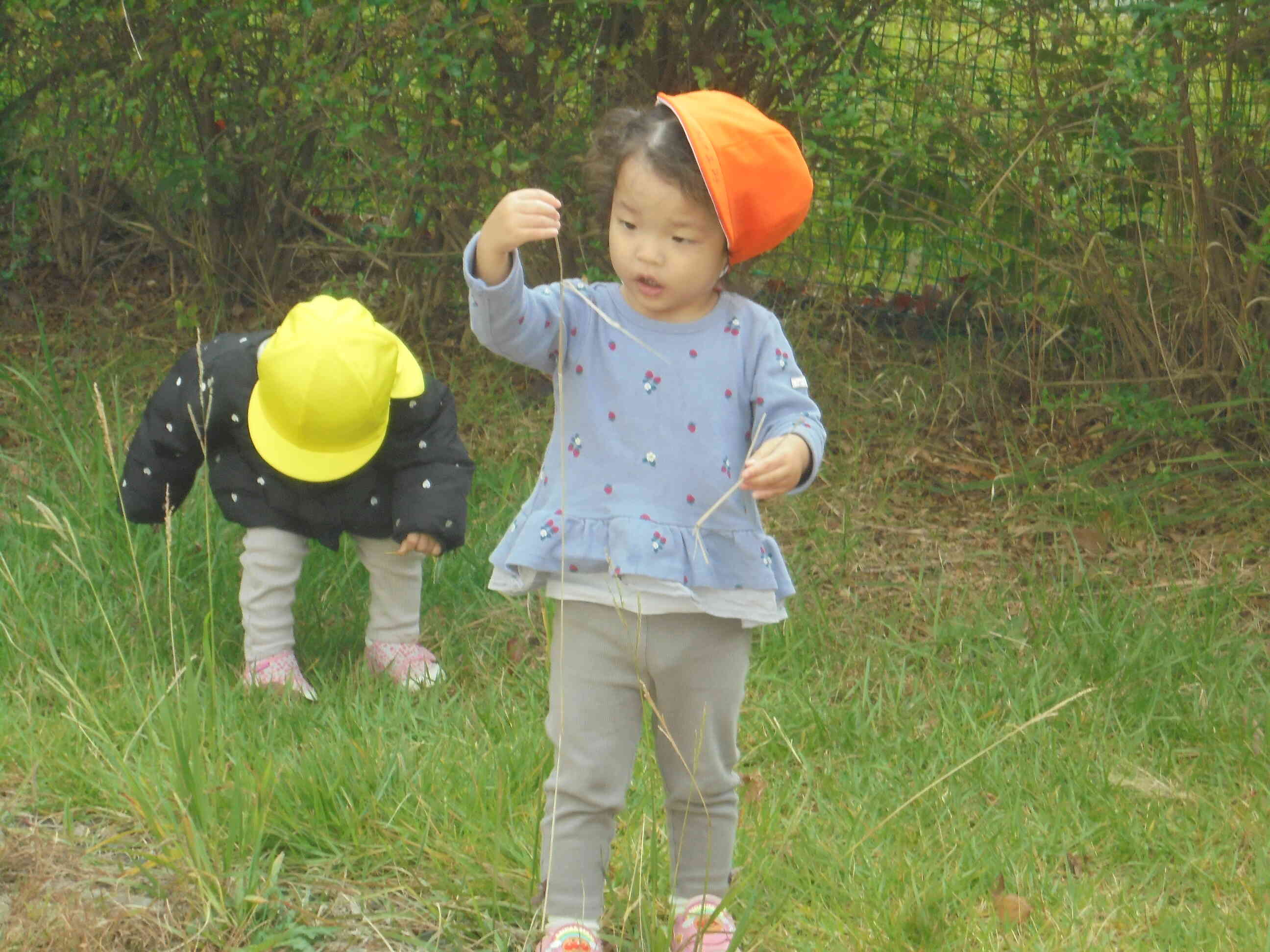 これは・・・なに？