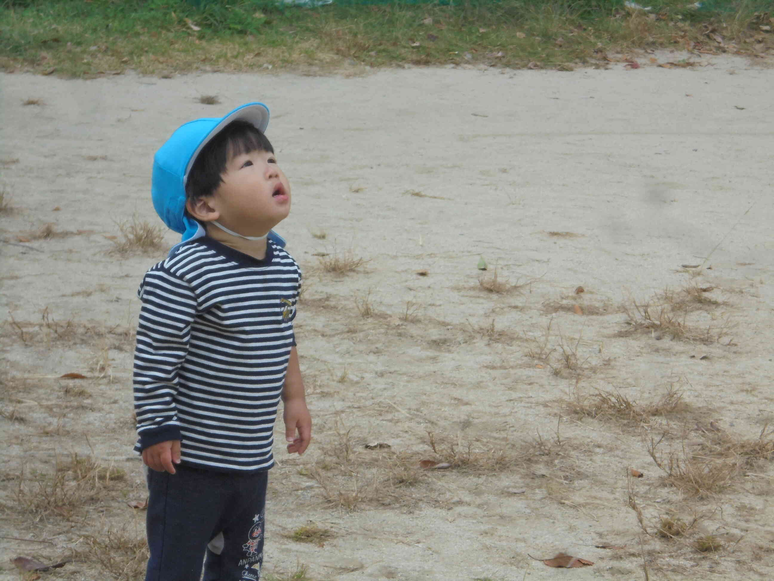 お空を見上げて