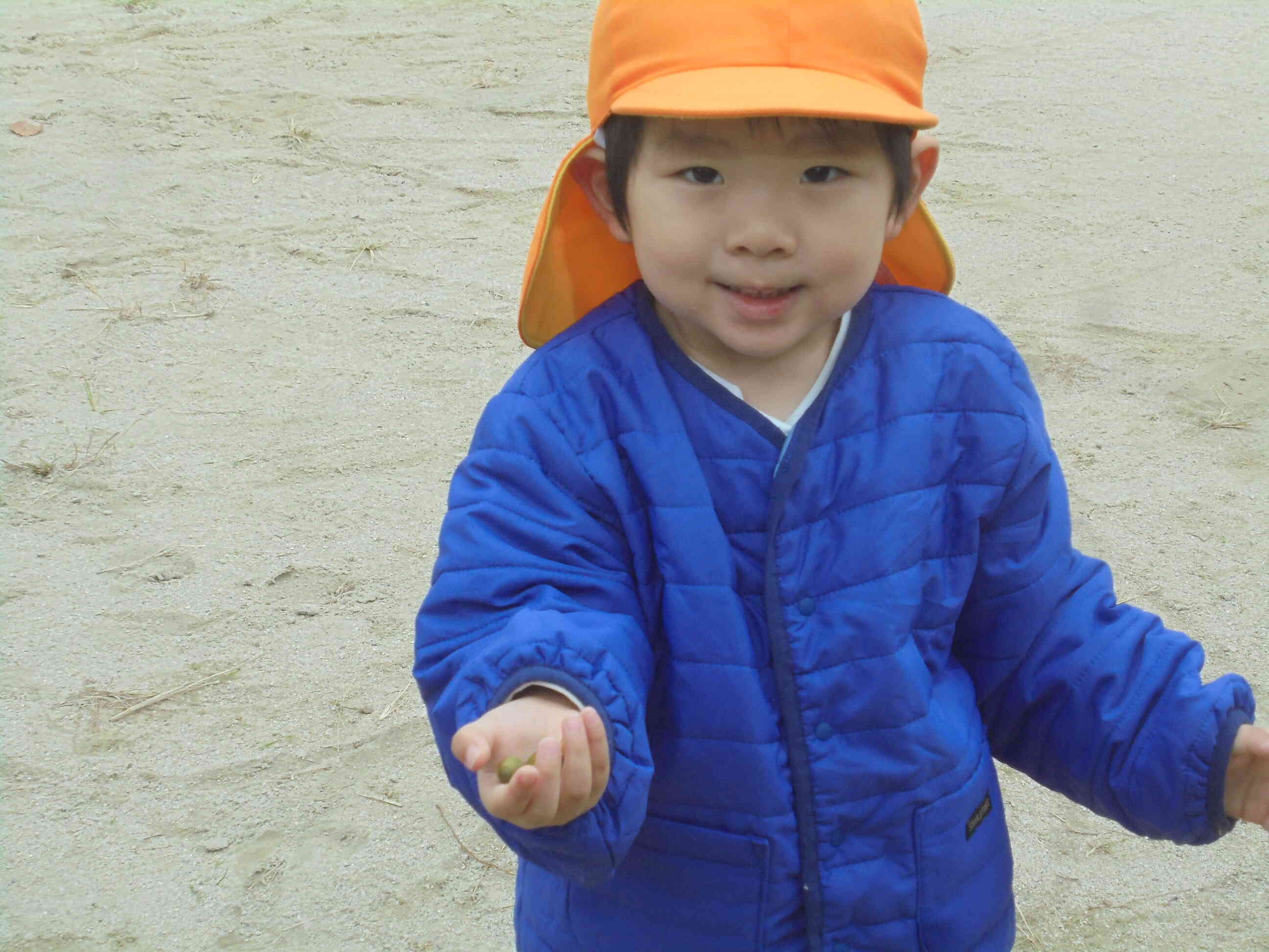 「ほら」手には帽子をかぶったどんぐりも