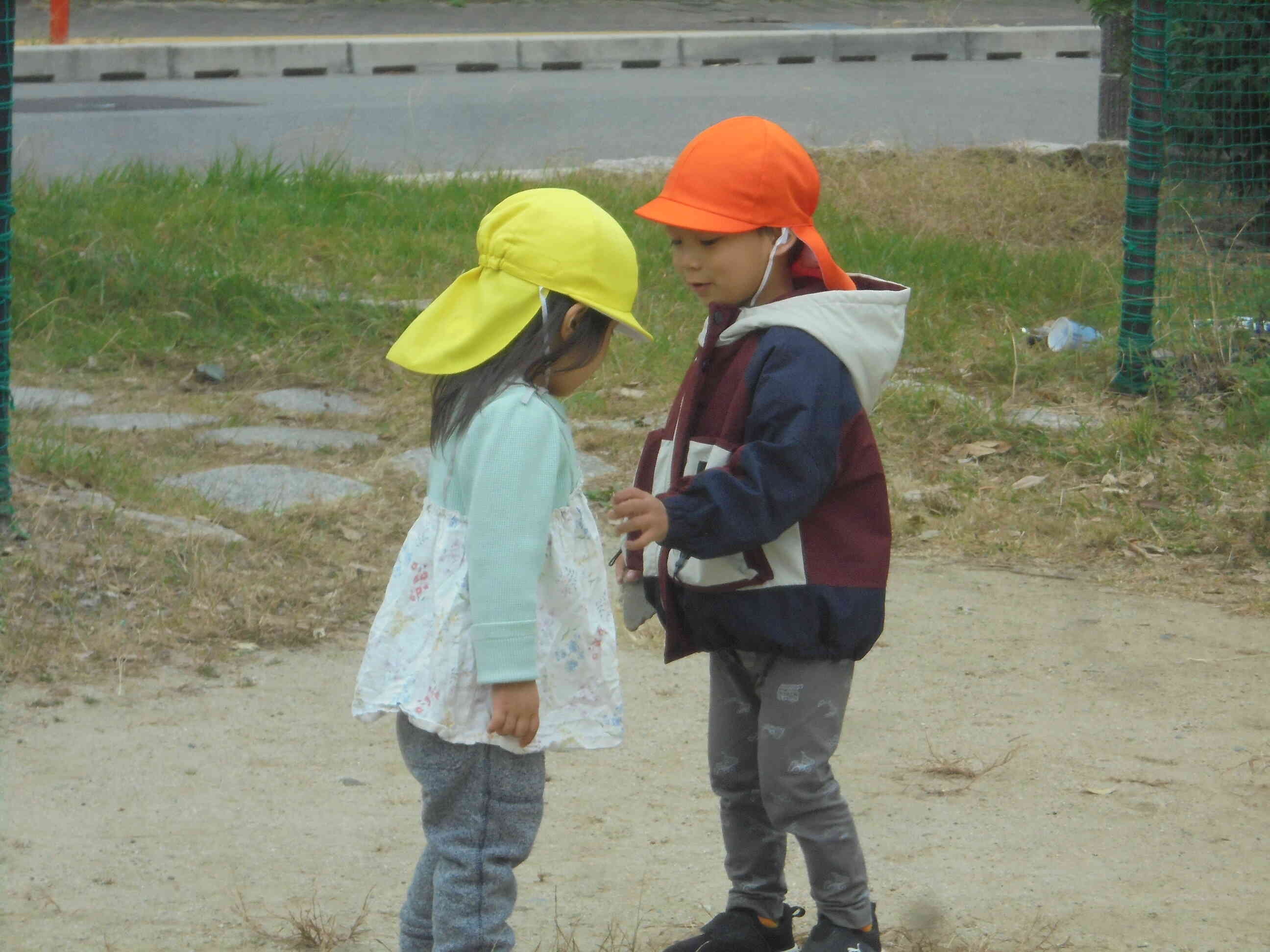 一緒に枝を探してました。