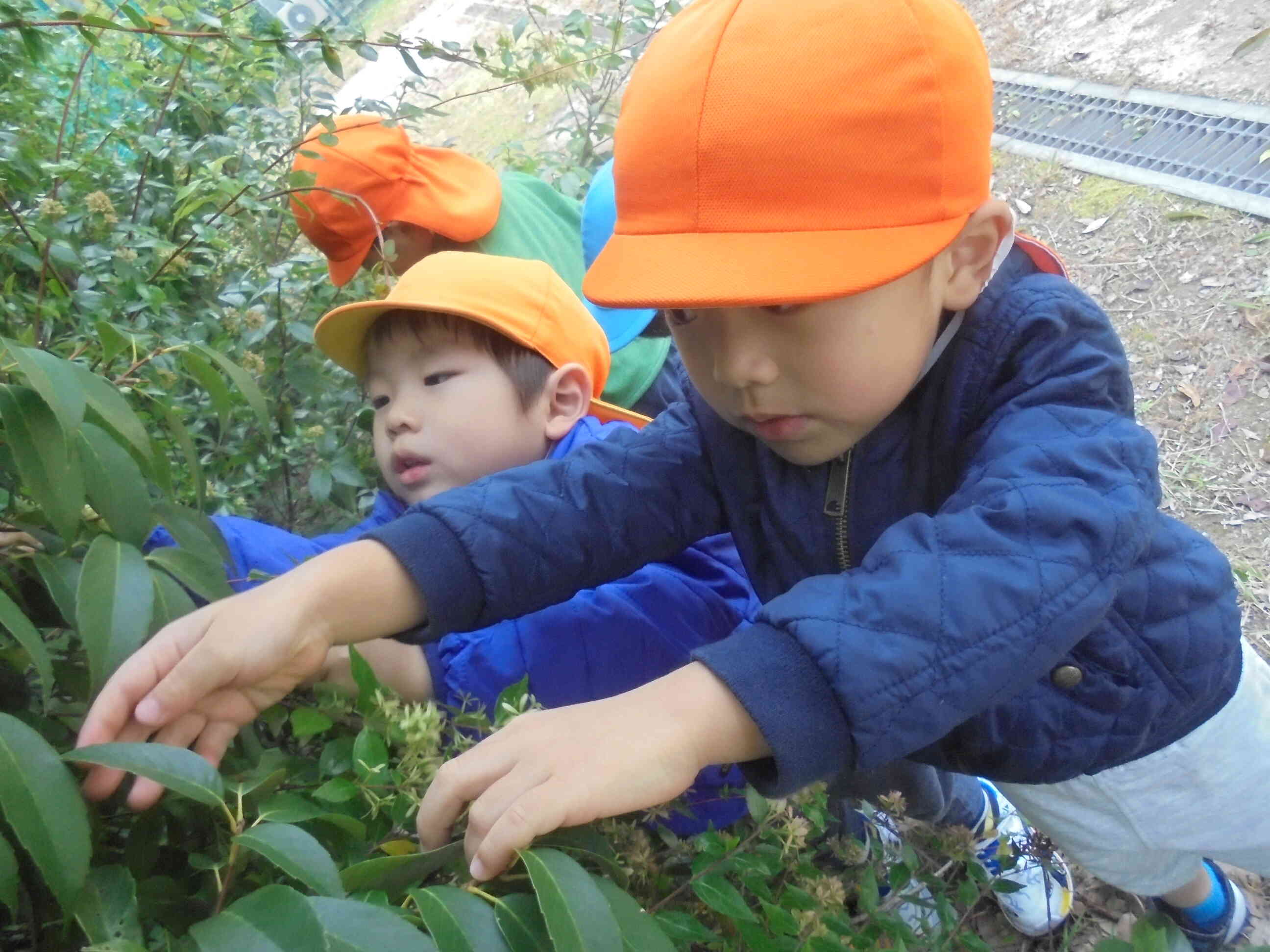 子ども達の宝物