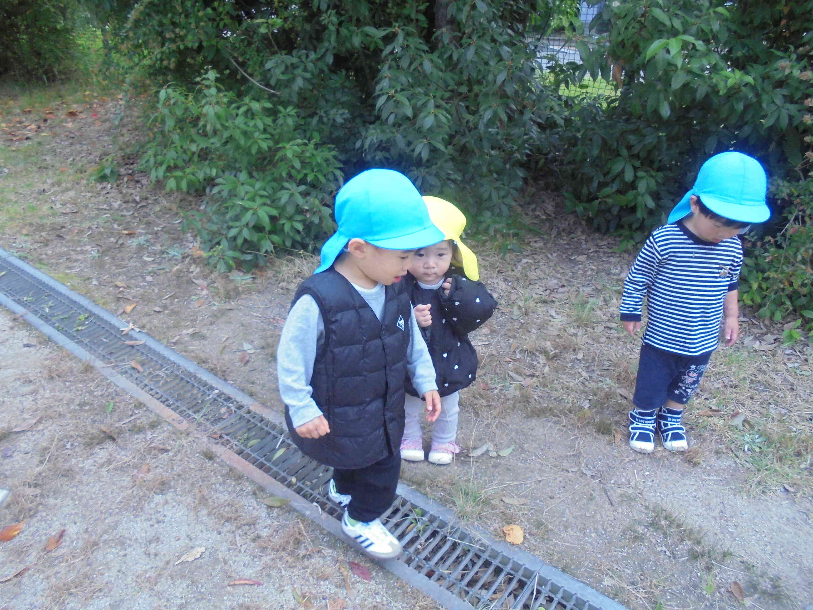 みんなで【どんぐり探し】です。