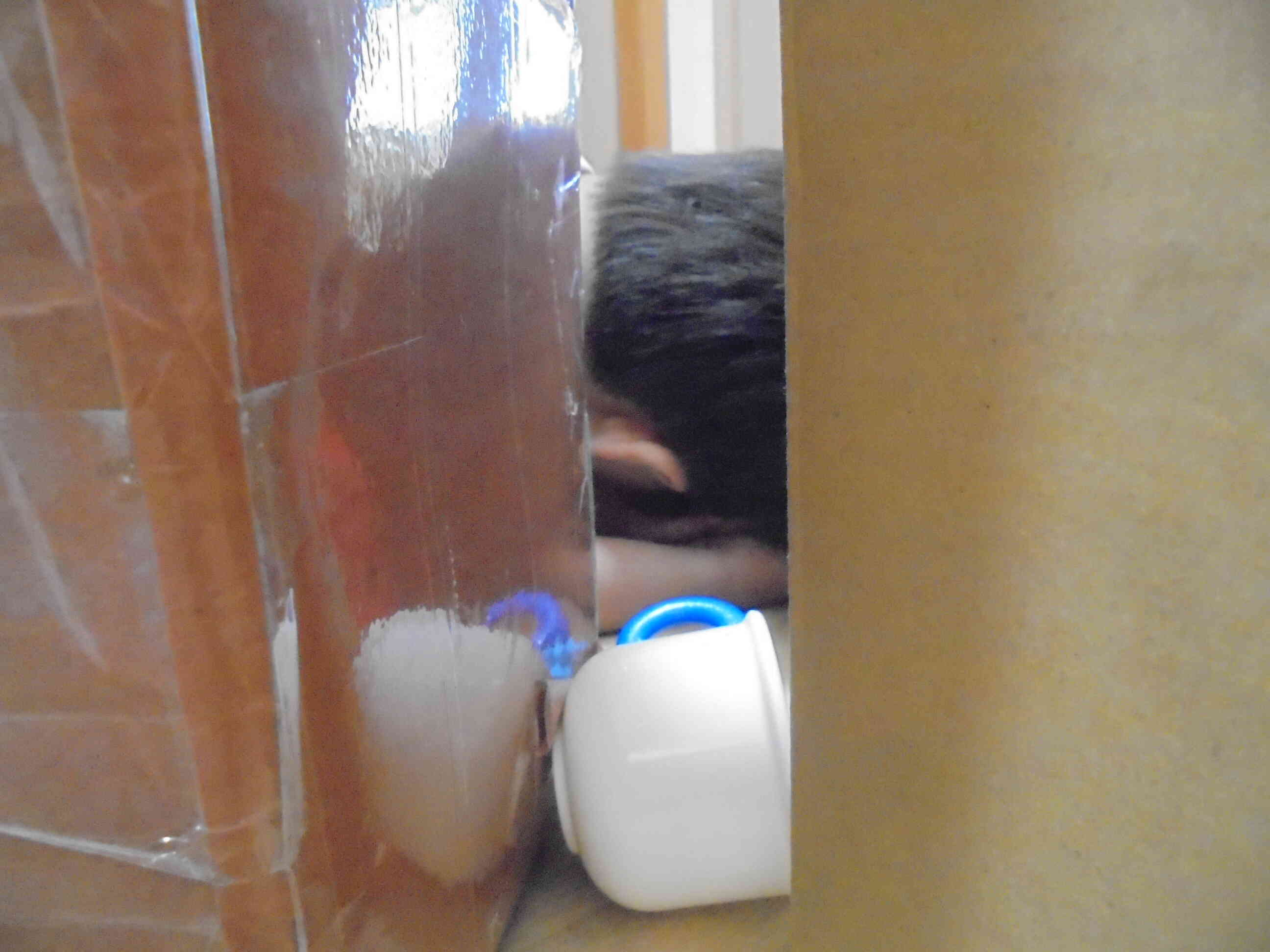 真剣に隠れてます…。お尻は見えてるんだけど…。