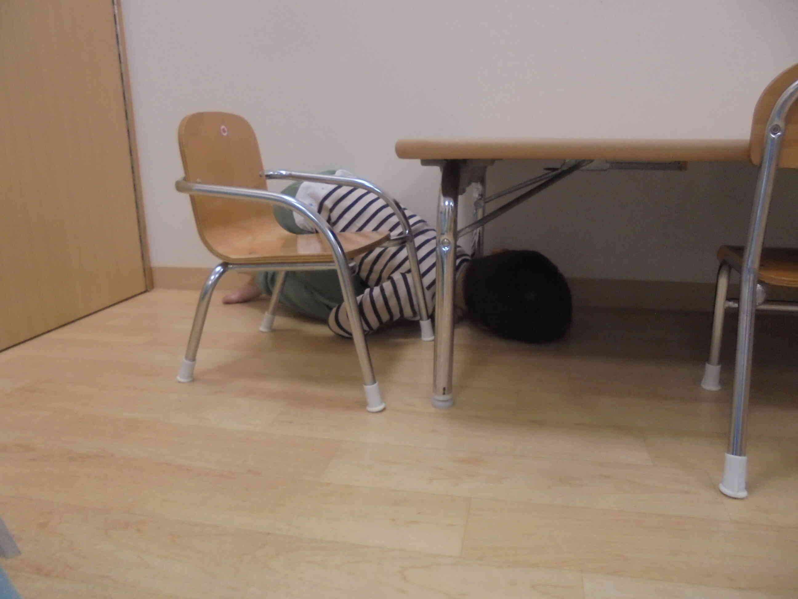 今度は完璧！誰にも見つからないぞ！