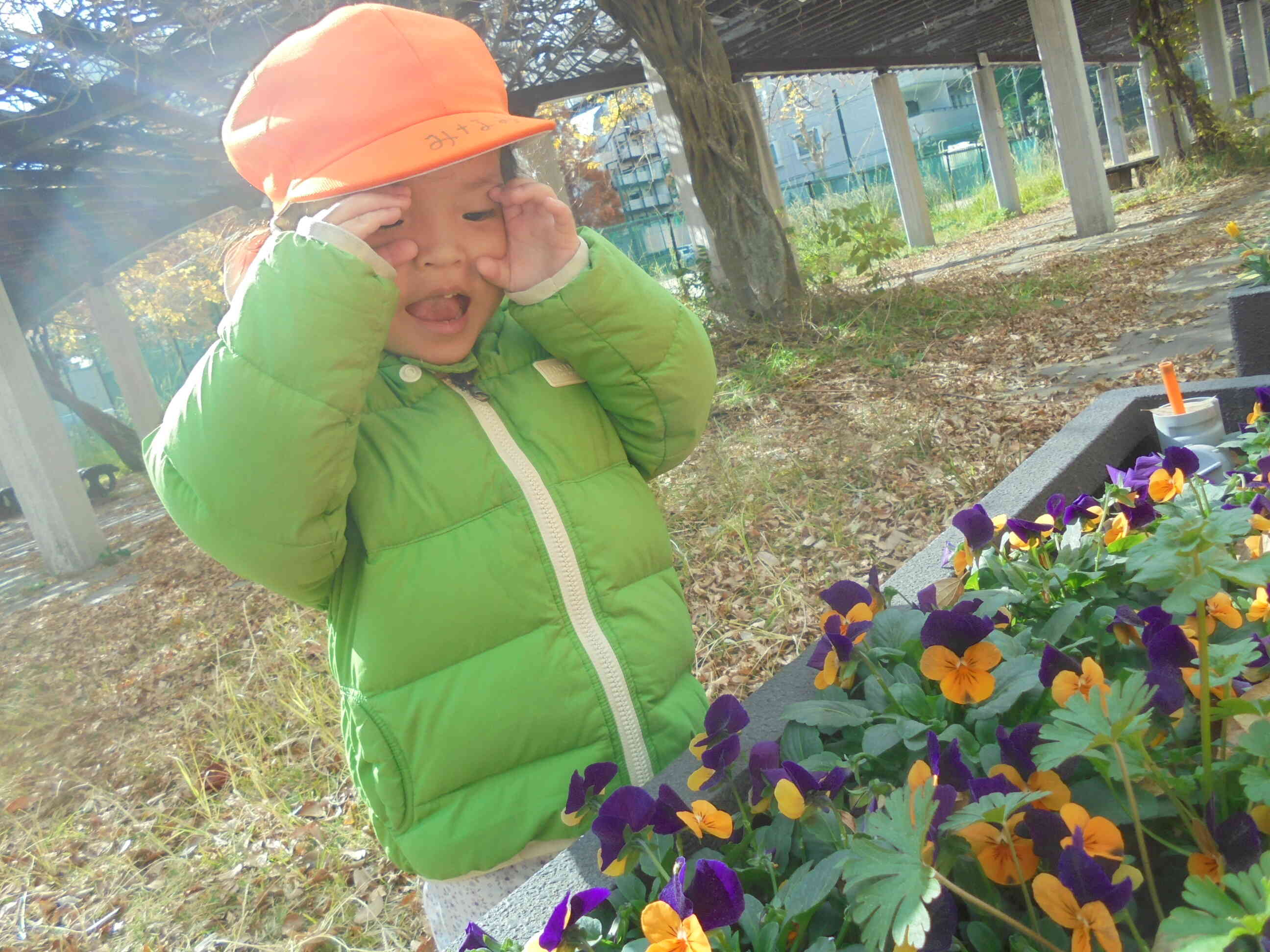 わあ！キレイなお花だね。