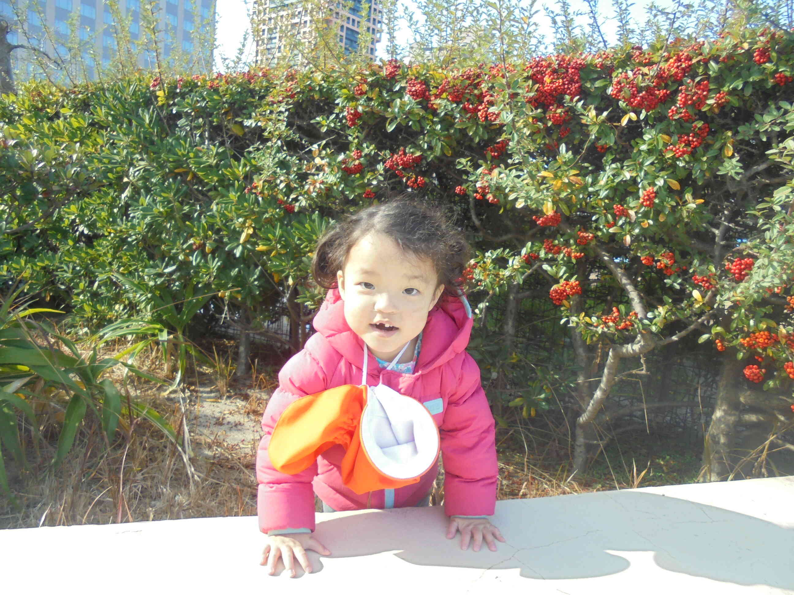 いない　いない　ばあ！