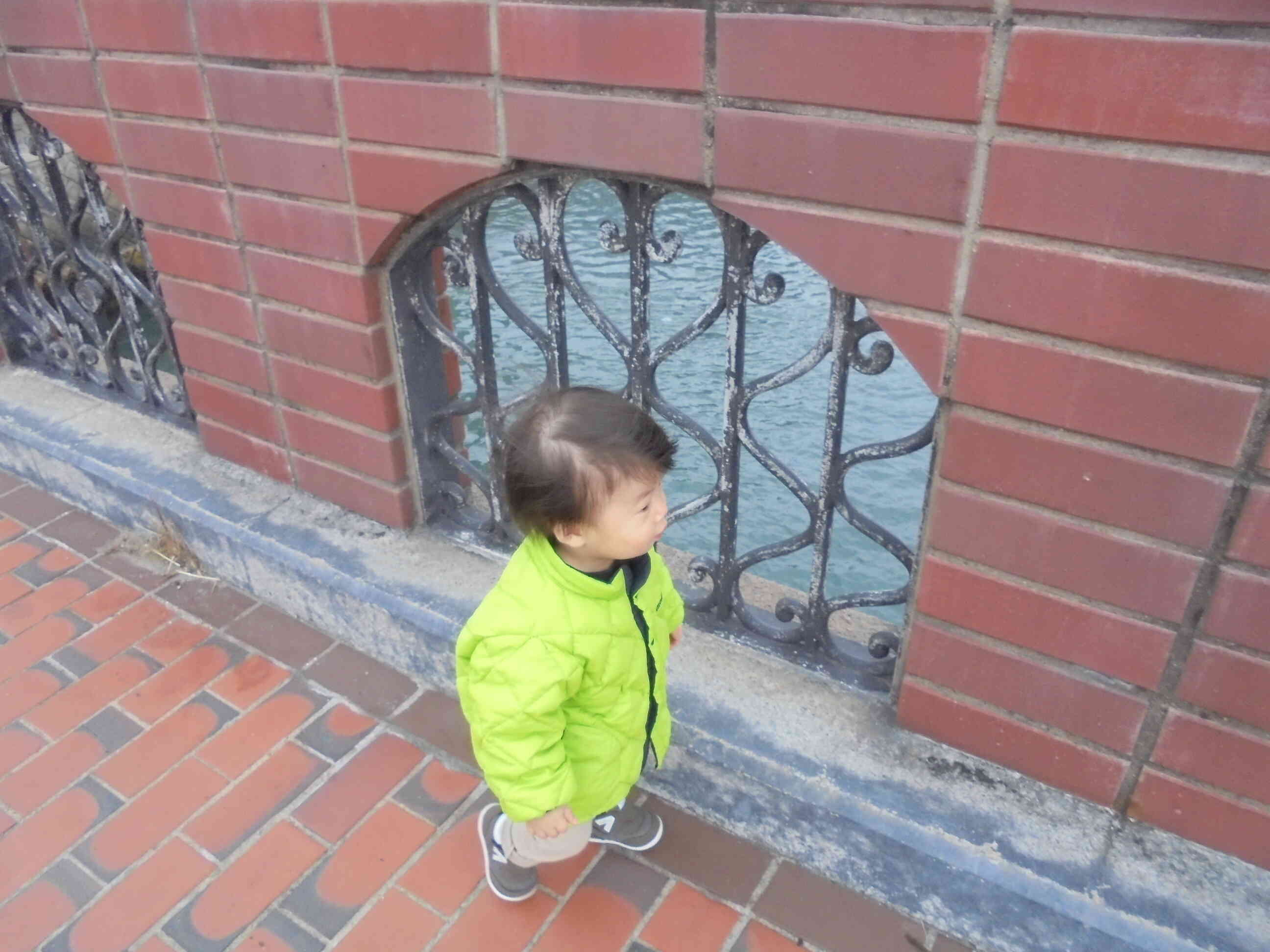 海が見えるよ！