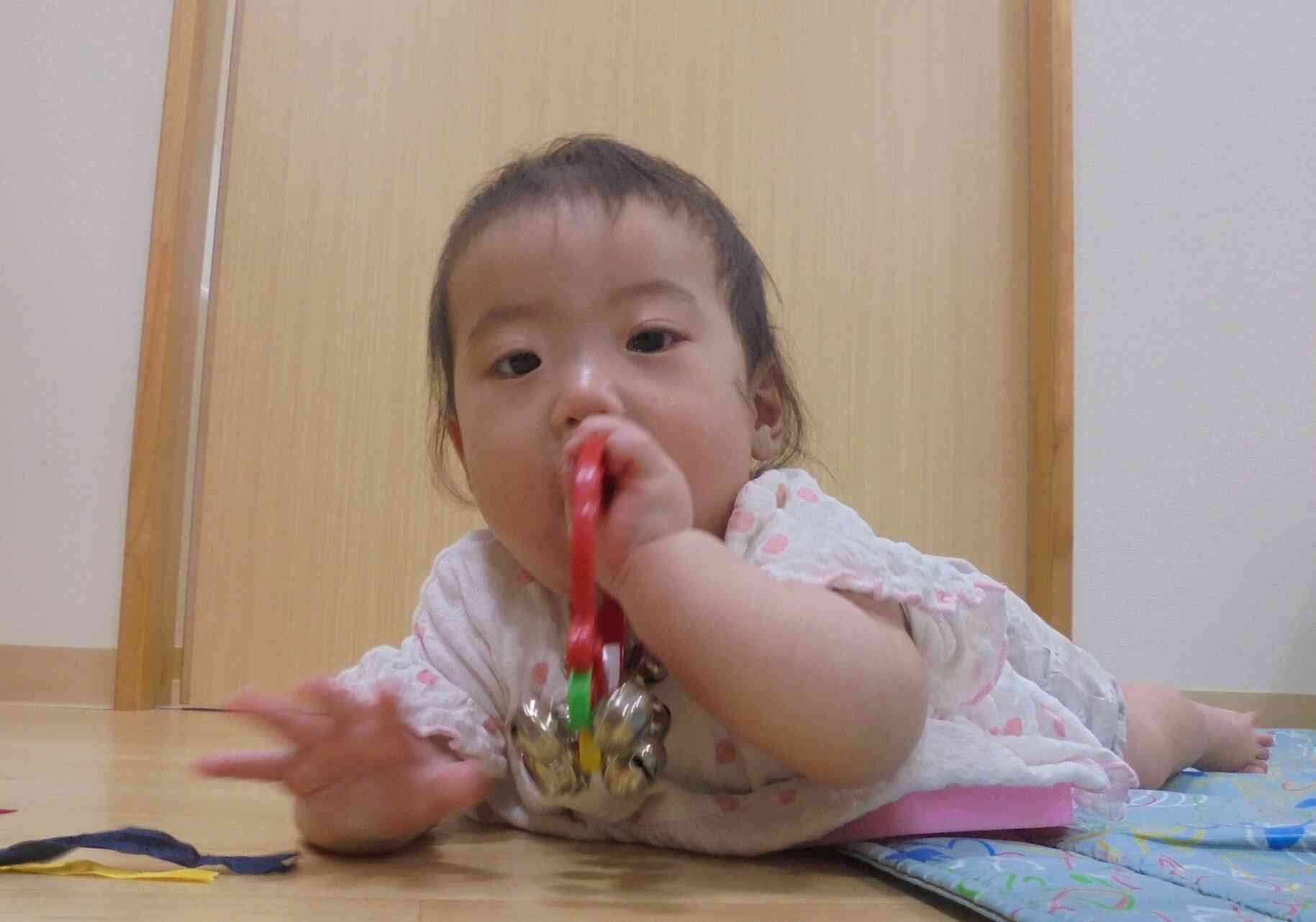 楽器に触れてみたよ