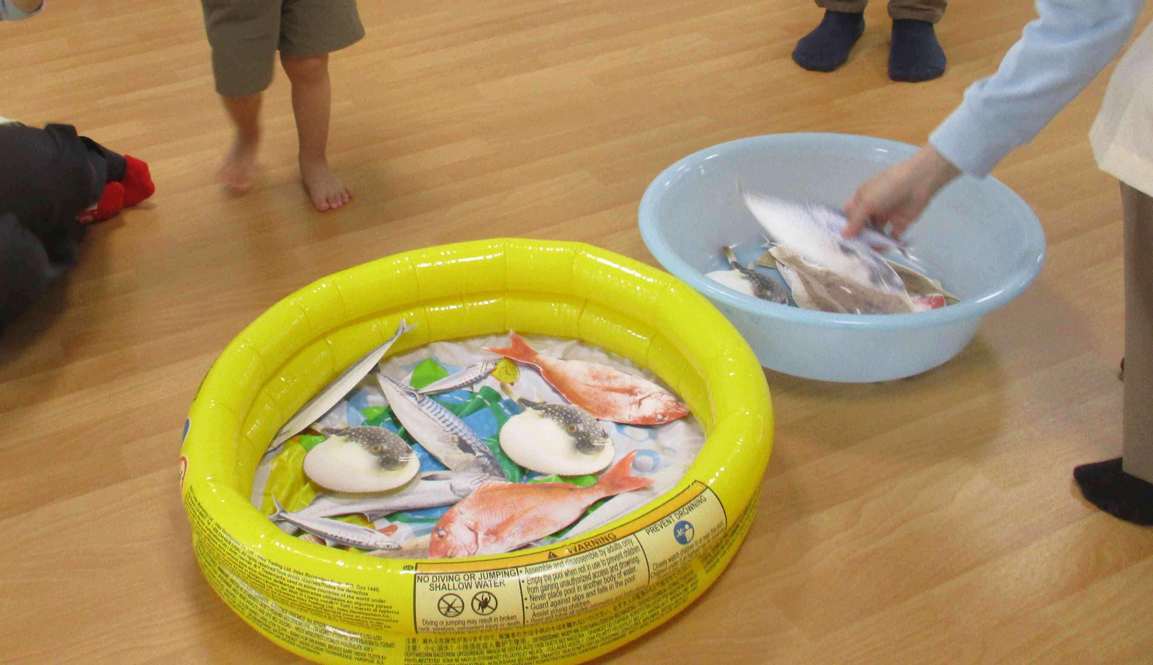 お魚いっぱい!!