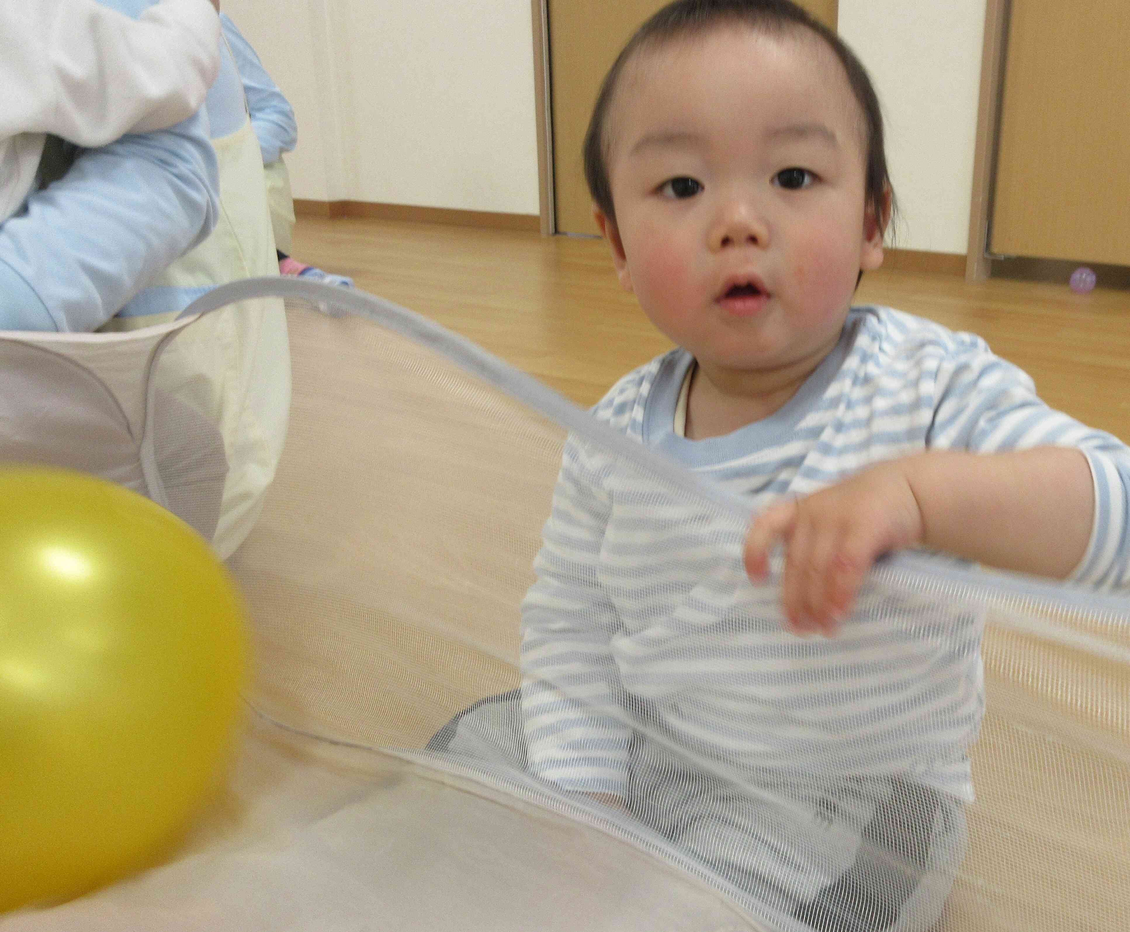 ボールプールに入れてみました！！
