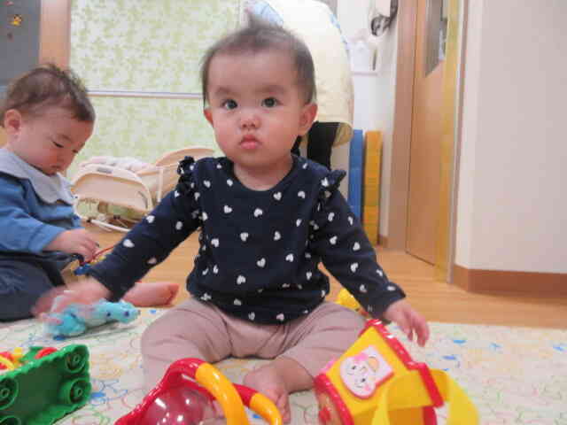 どれがいいかな？