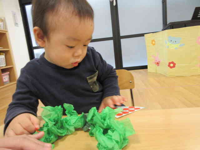 これにしよう！！