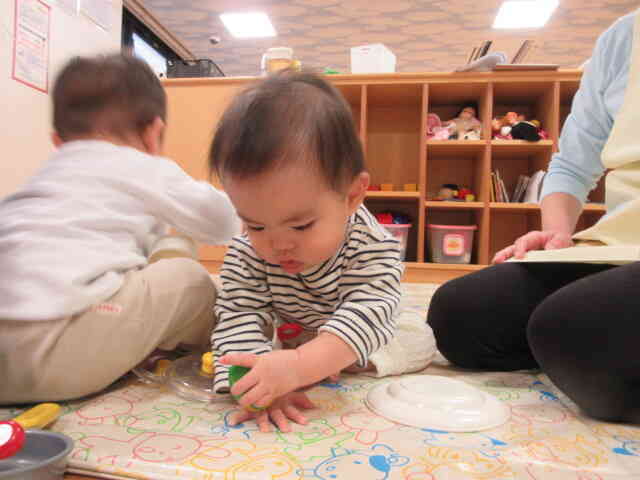 これに決めました！！