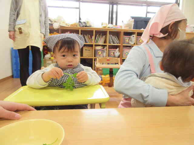 もらったよ！！