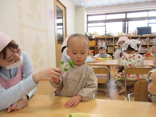 ちょっとだけ、苦手かな？