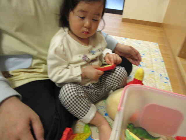 触ってみよう！