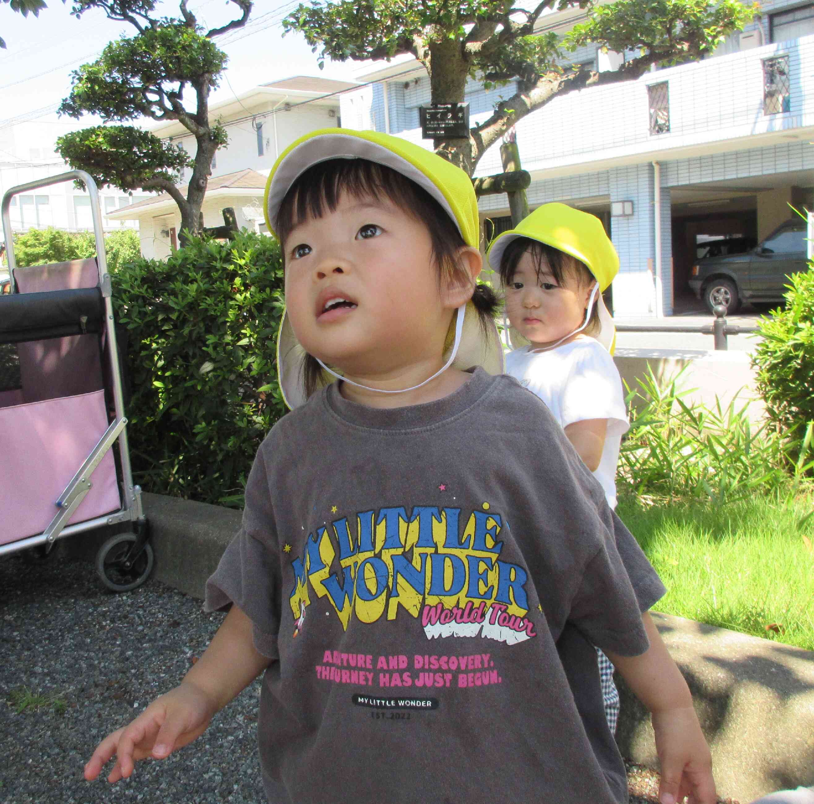 あ！！みてみて！！