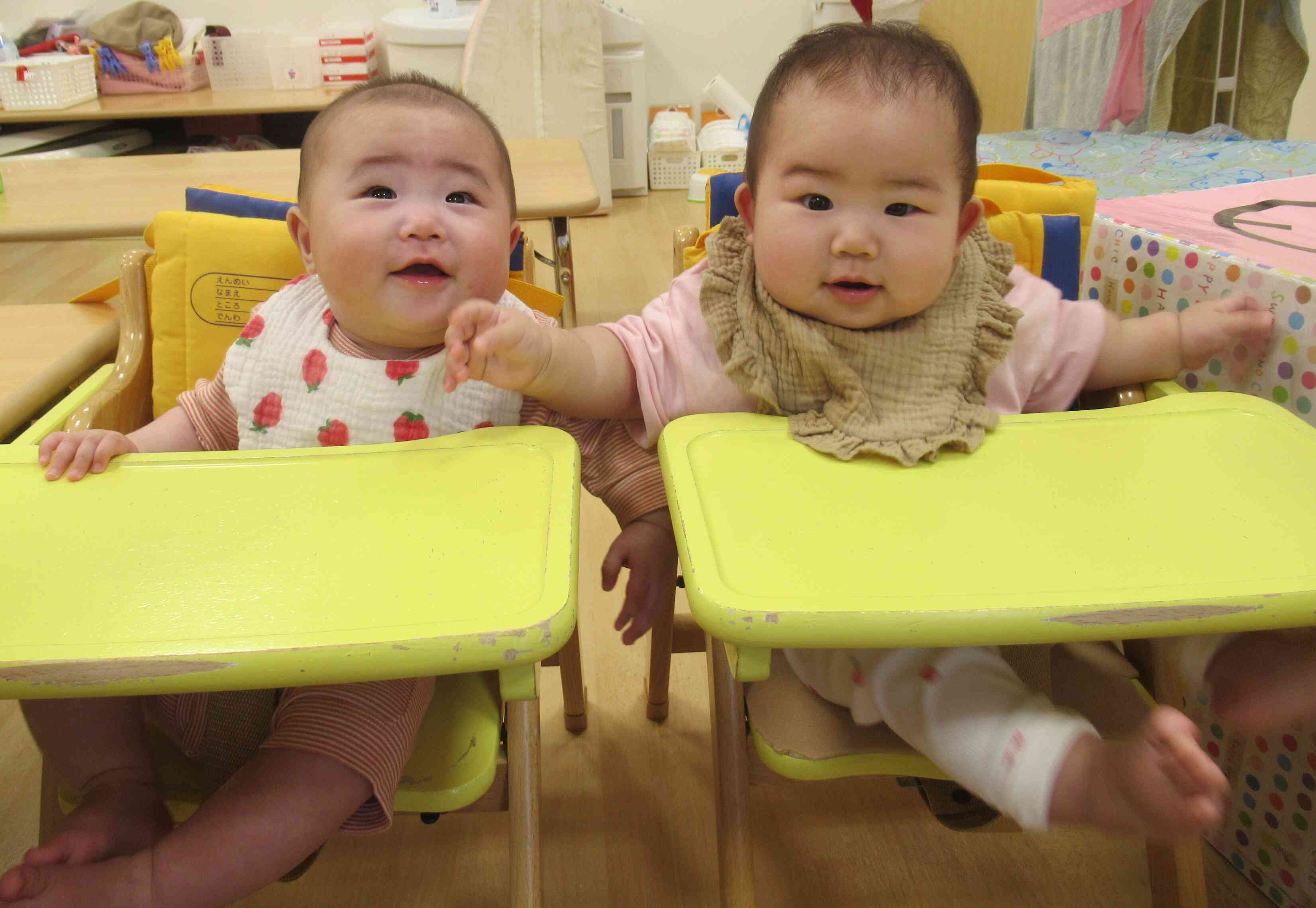 なかよしなひよこ組さんです
