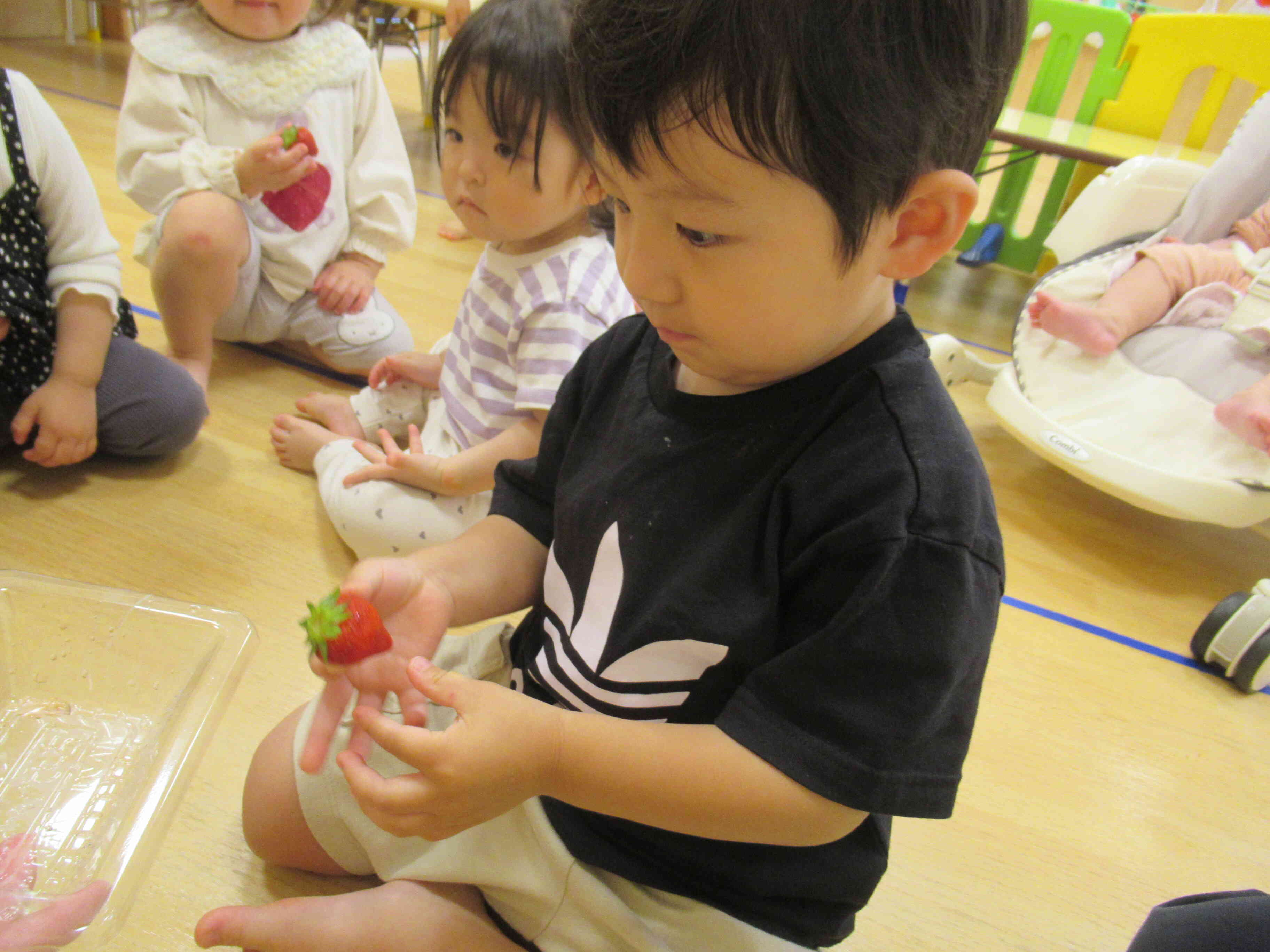 本物のいちごだね