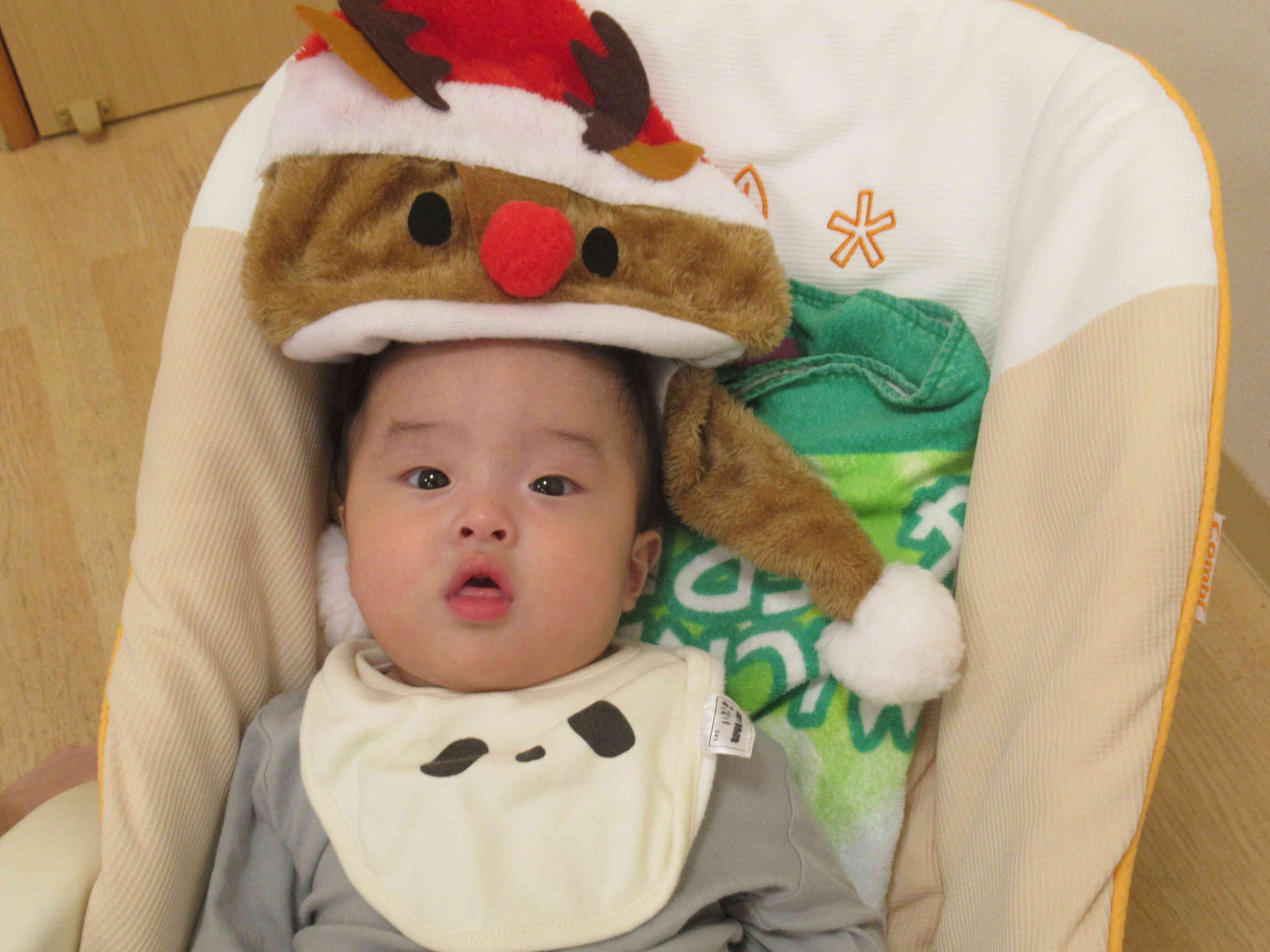 かわいいトナカイさん