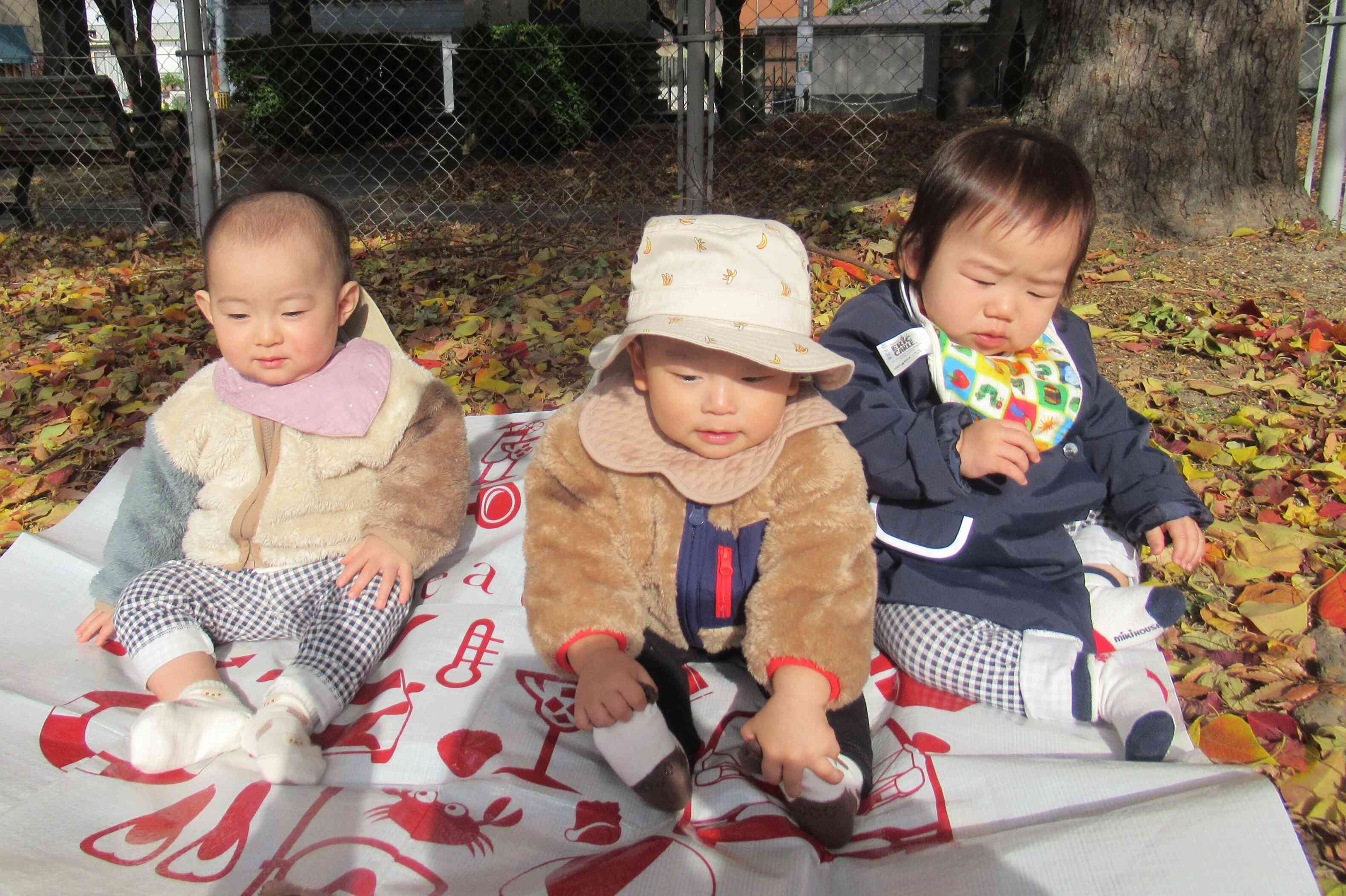 ぽかぽか暖かいね