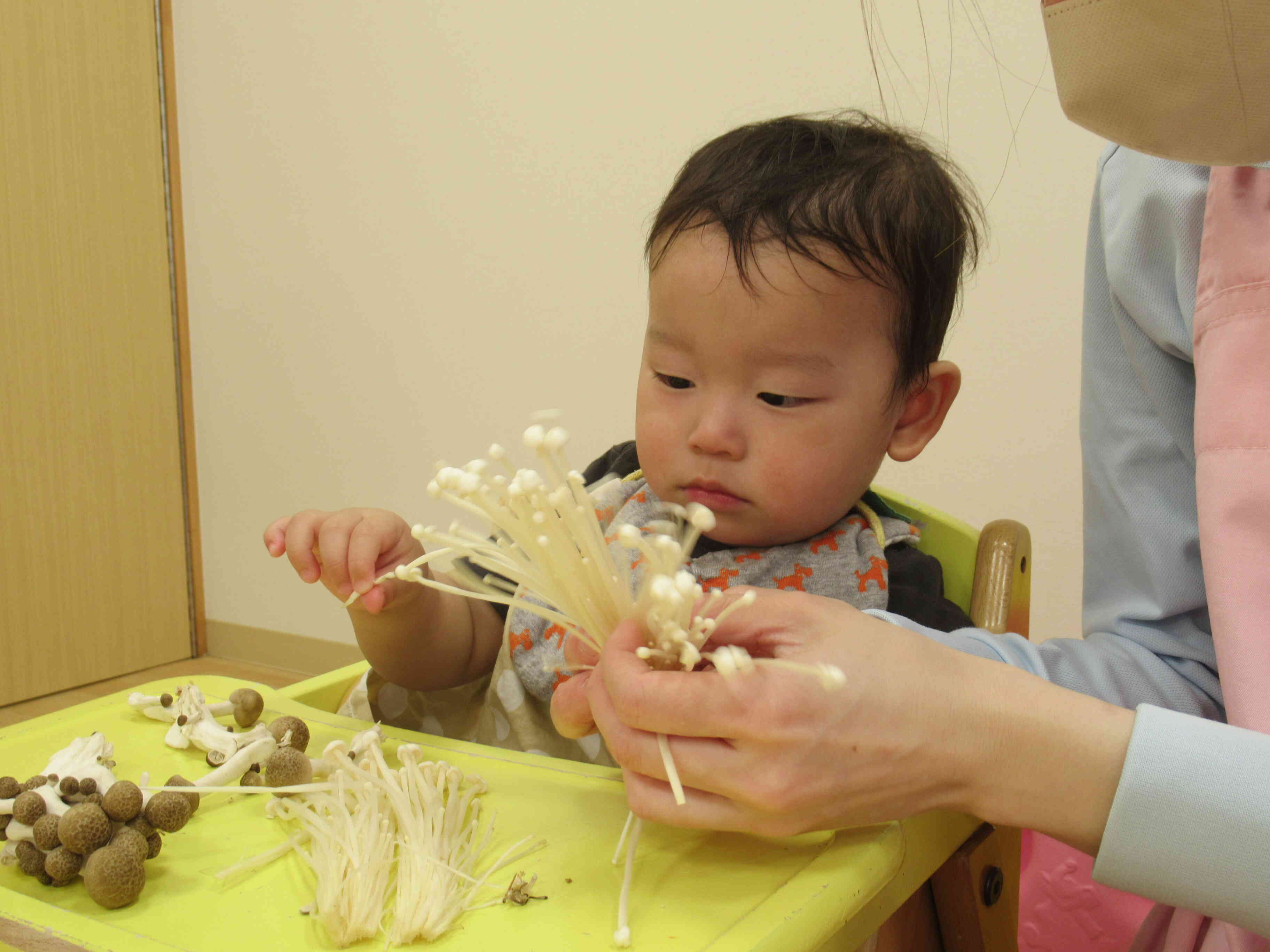 きのこちぎってみたよ！